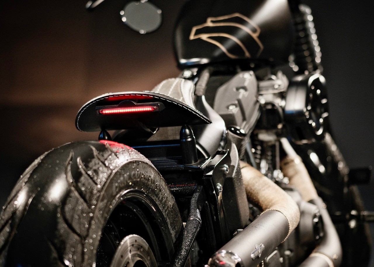 HARLEY-DAVIDSON FXSTB Night Train-image-12