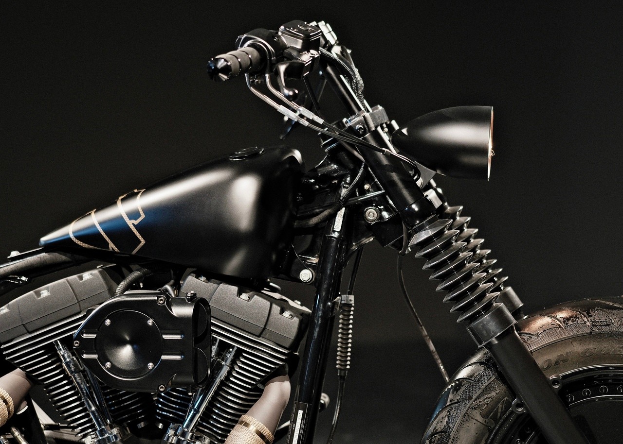HARLEY-DAVIDSON FXSTB Night Train-image-11