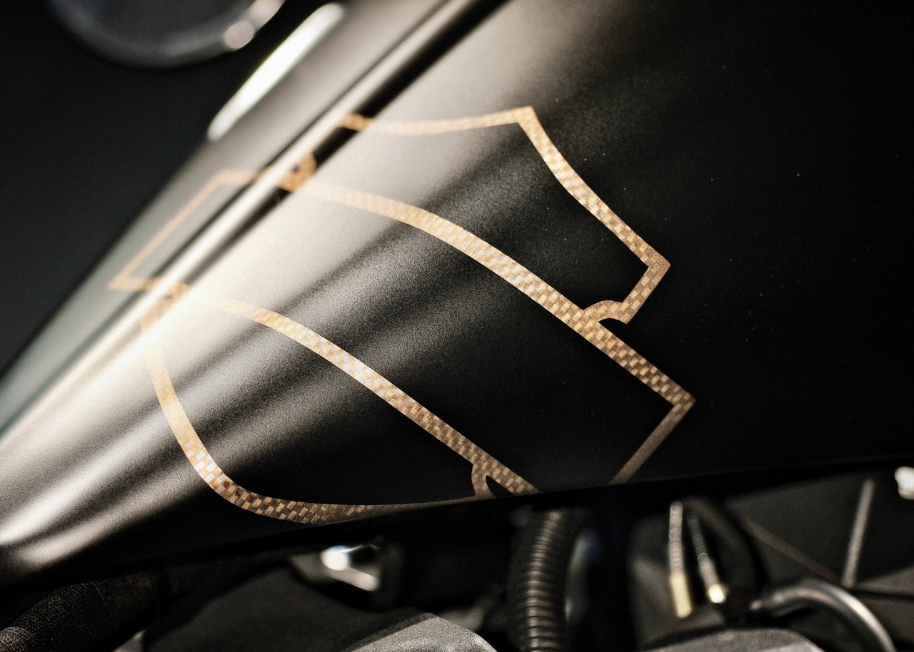 HARLEY-DAVIDSON FXSTB Night Train-image-13