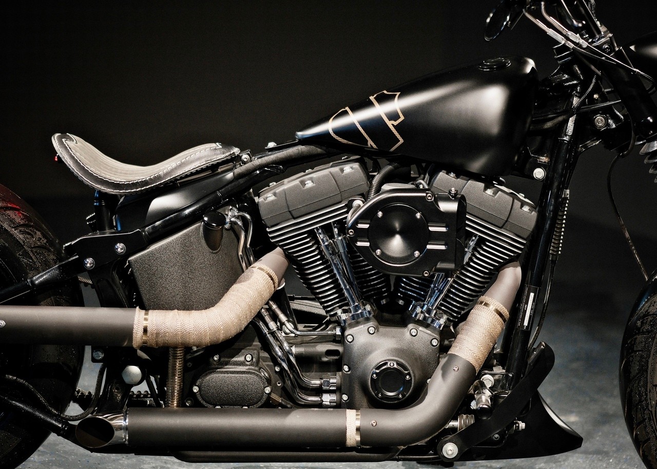 HARLEY-DAVIDSON FXSTB Night Train-image-9