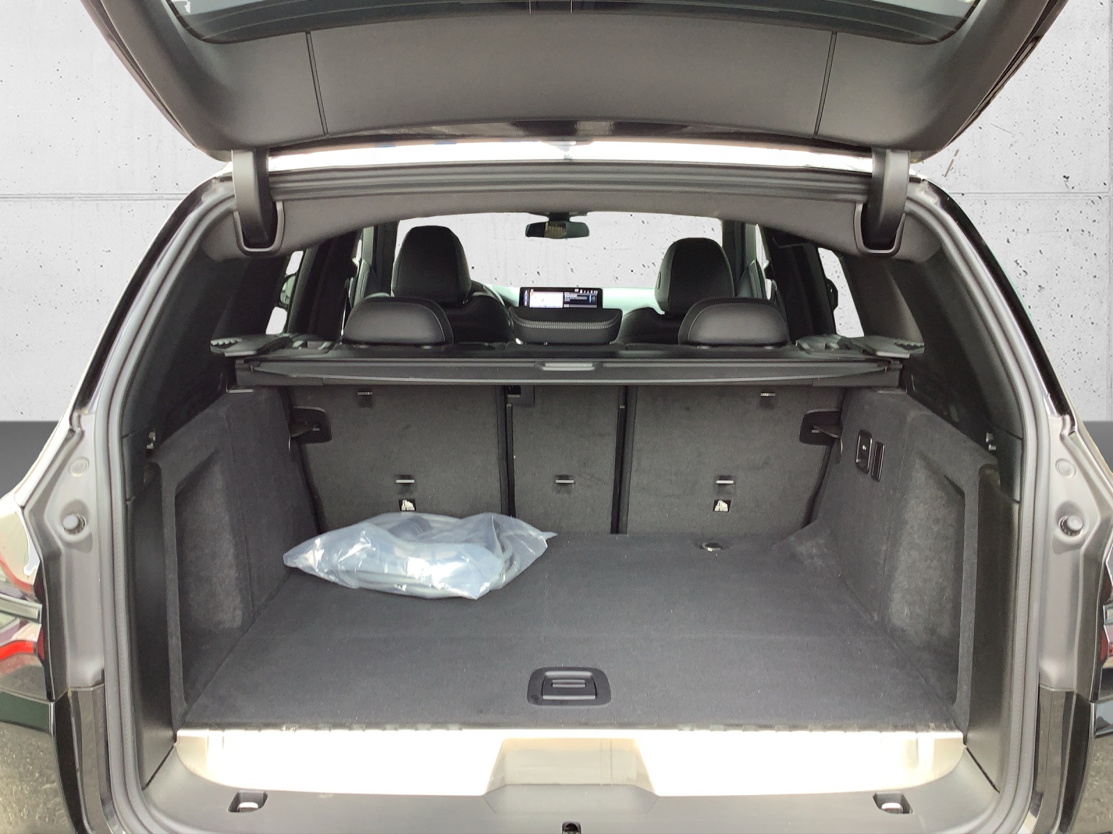 BMW X3 xDrive 30e M Sport-image-9
