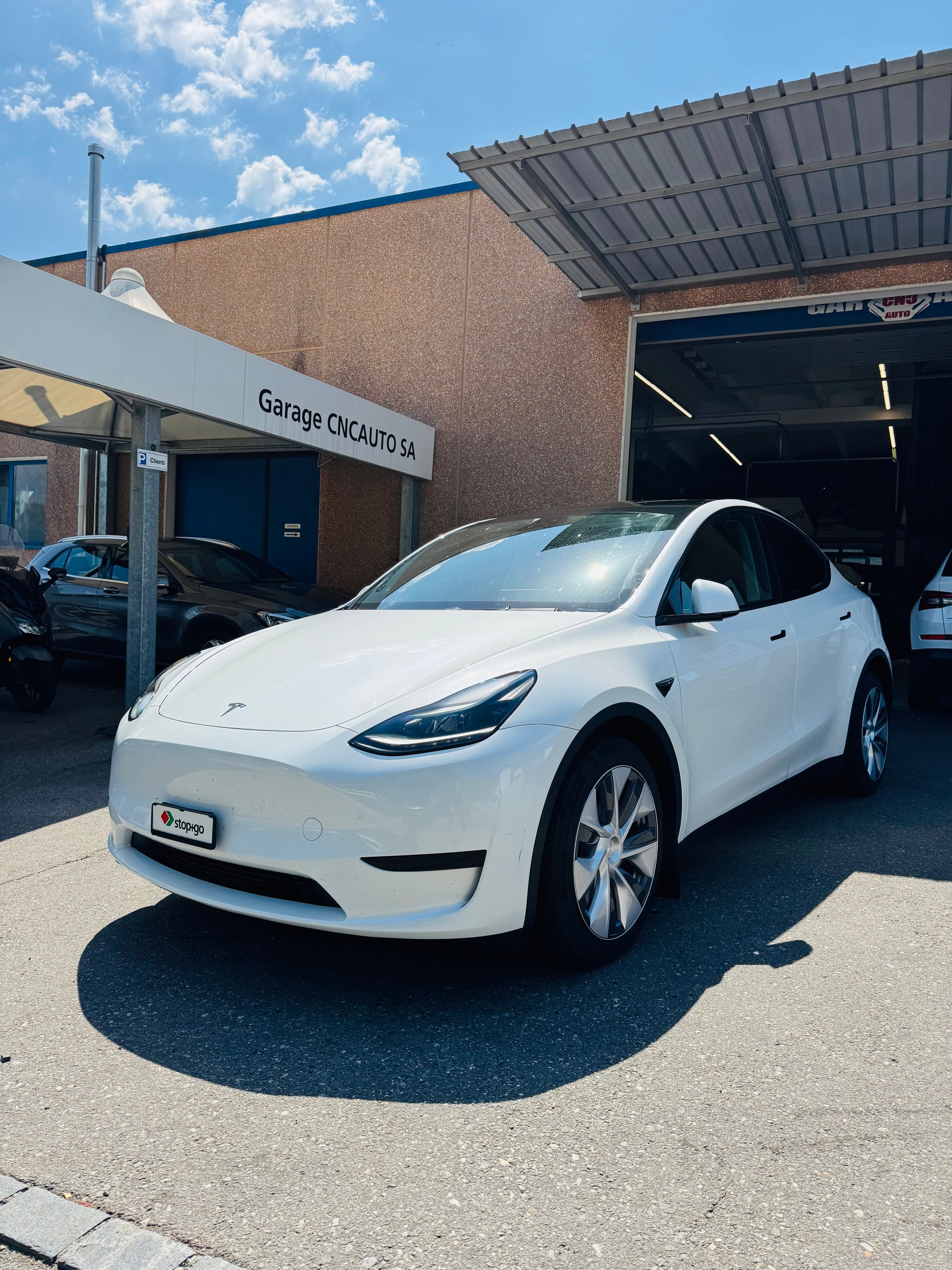 TESLA Model Y RWD-image-2