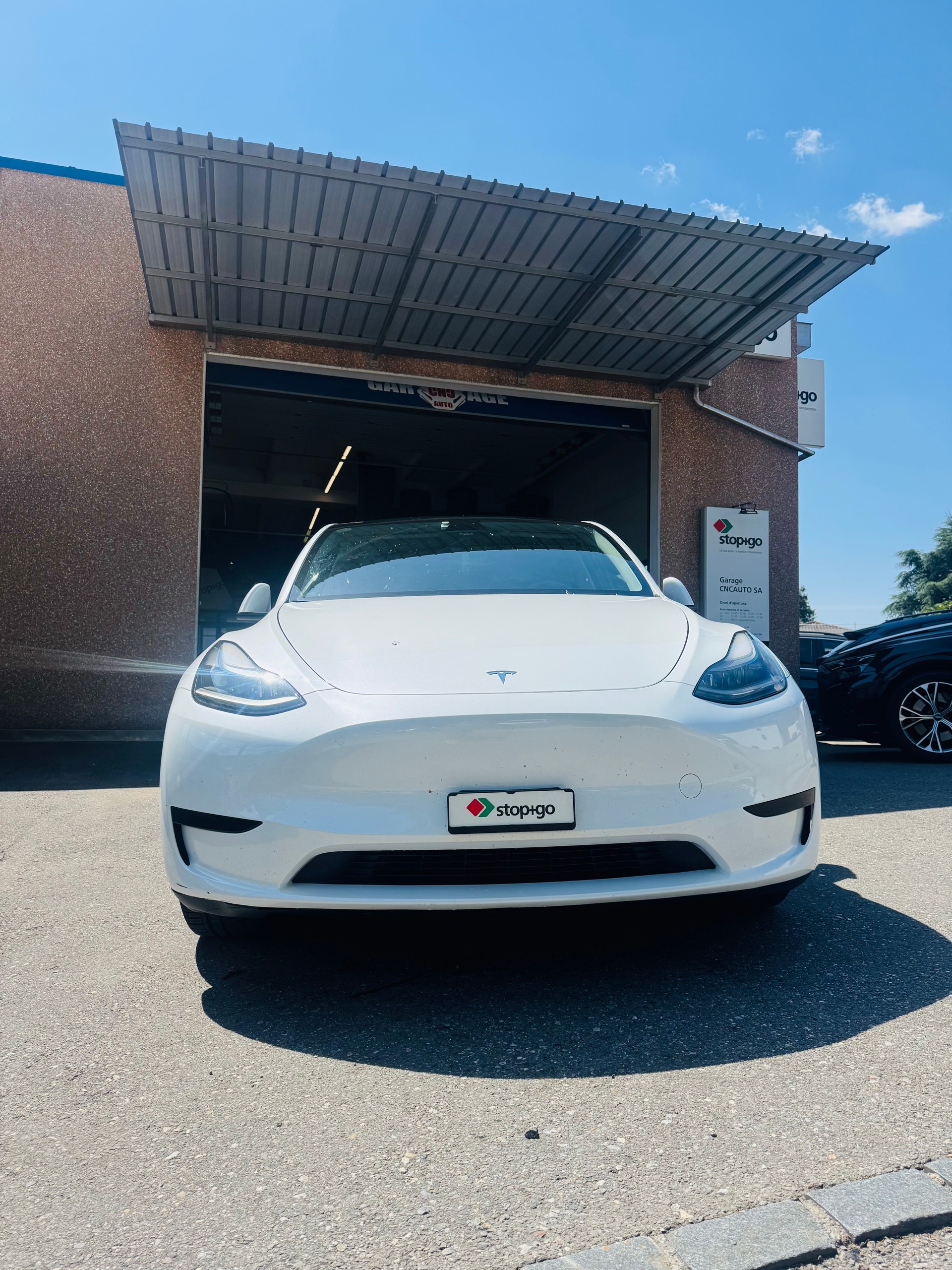 TESLA Model Y RWD-image-1
