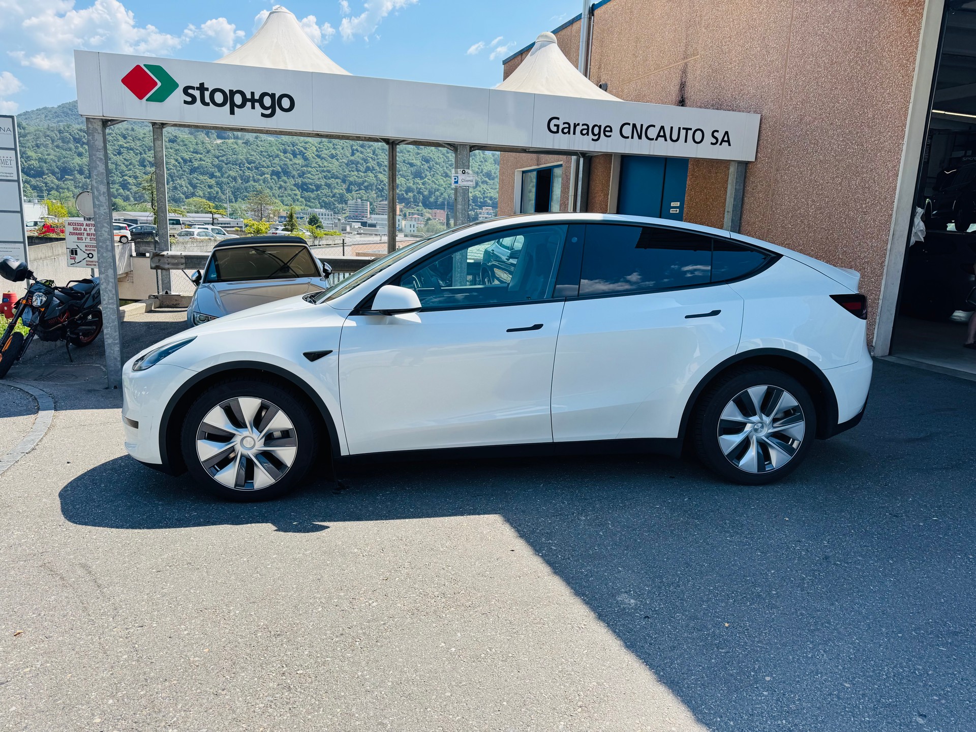 TESLA Model Y RWD-image-3