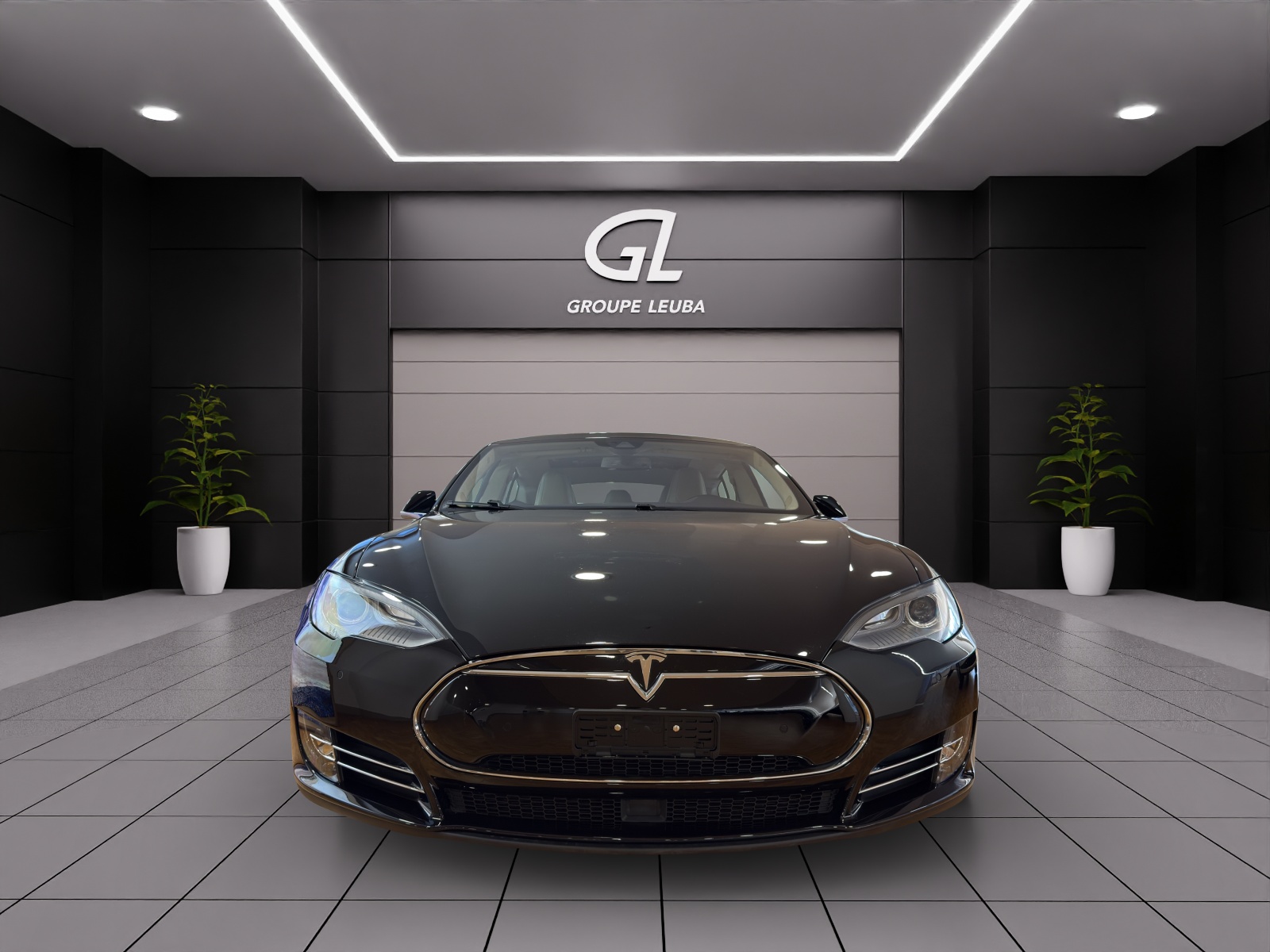 Image TESLA MODEL-S Model S 85 D Performance