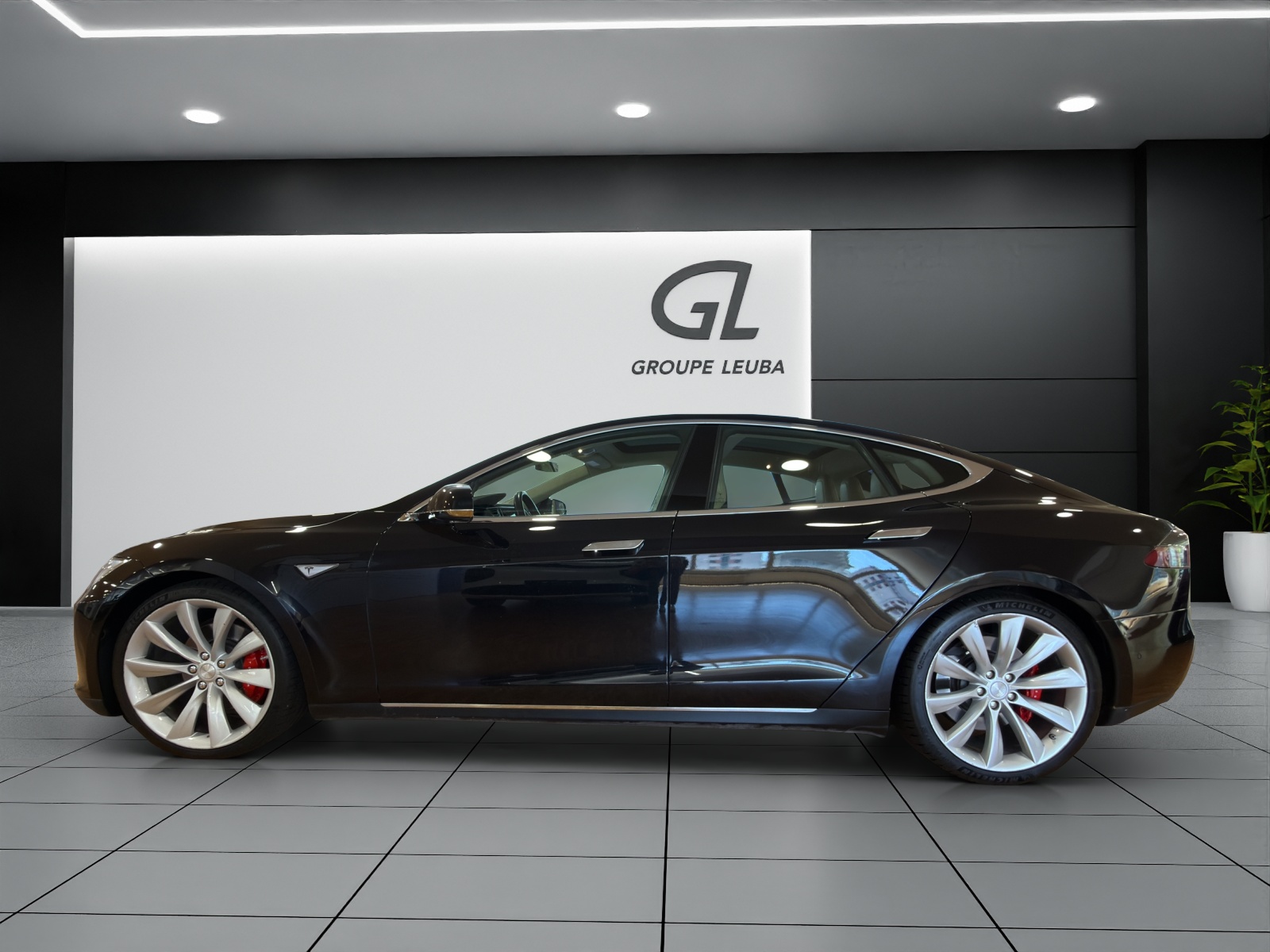 Image TESLA MODEL-S Model S 85 D Performance