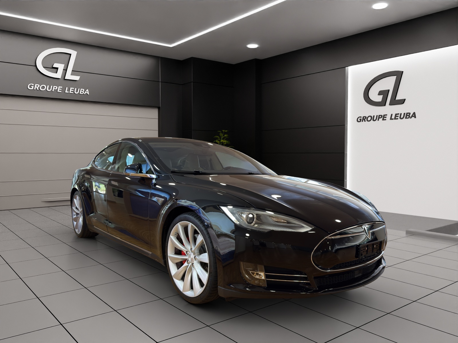 Photo TESLA MODEL-S Model S 85 D Performance