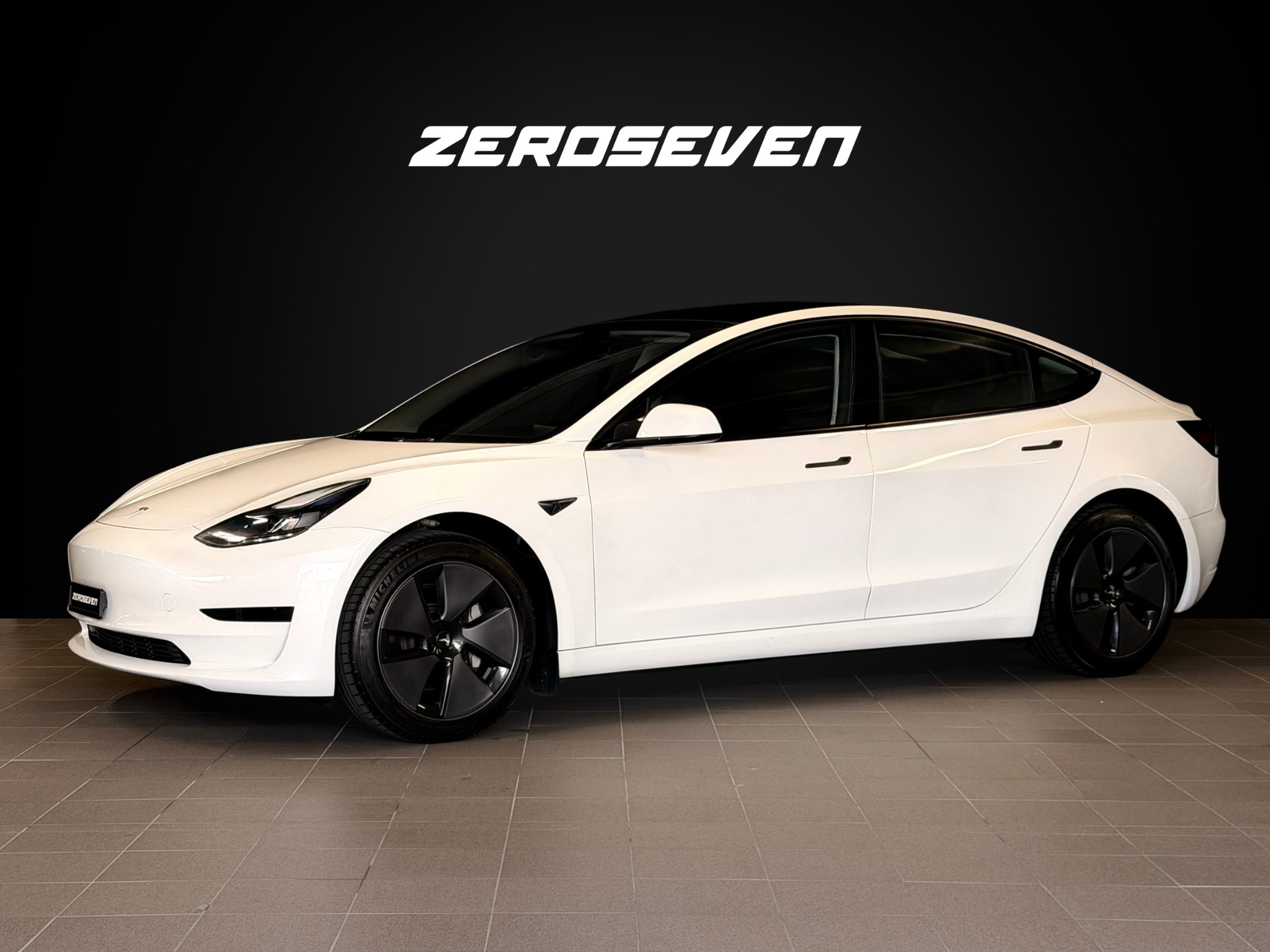 TESLA Model 3 Standart Range Plus-image-1