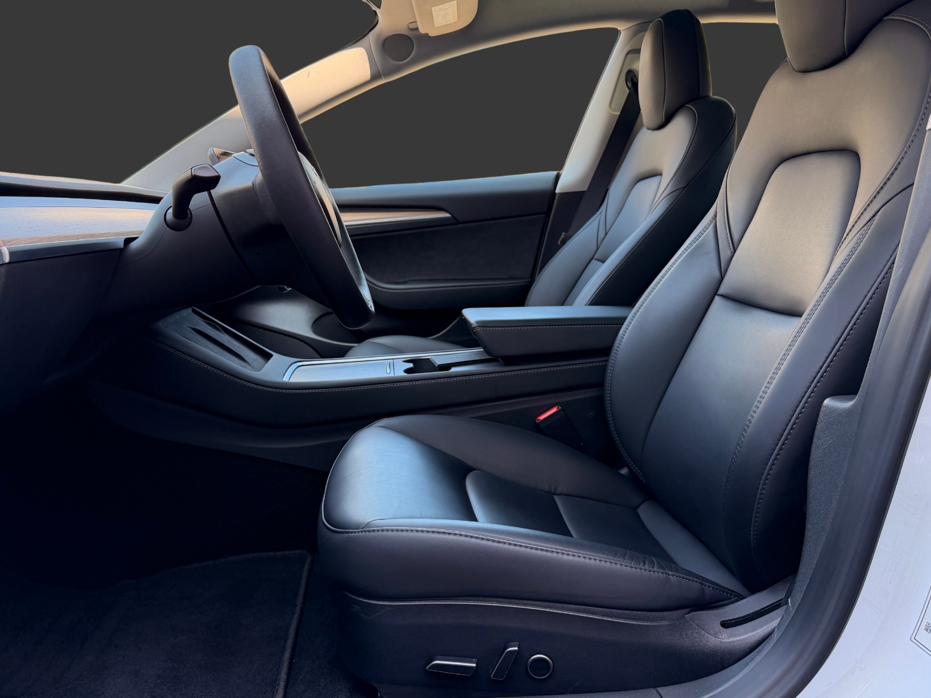 TESLA Model 3 Standart Range Plus-image-13
