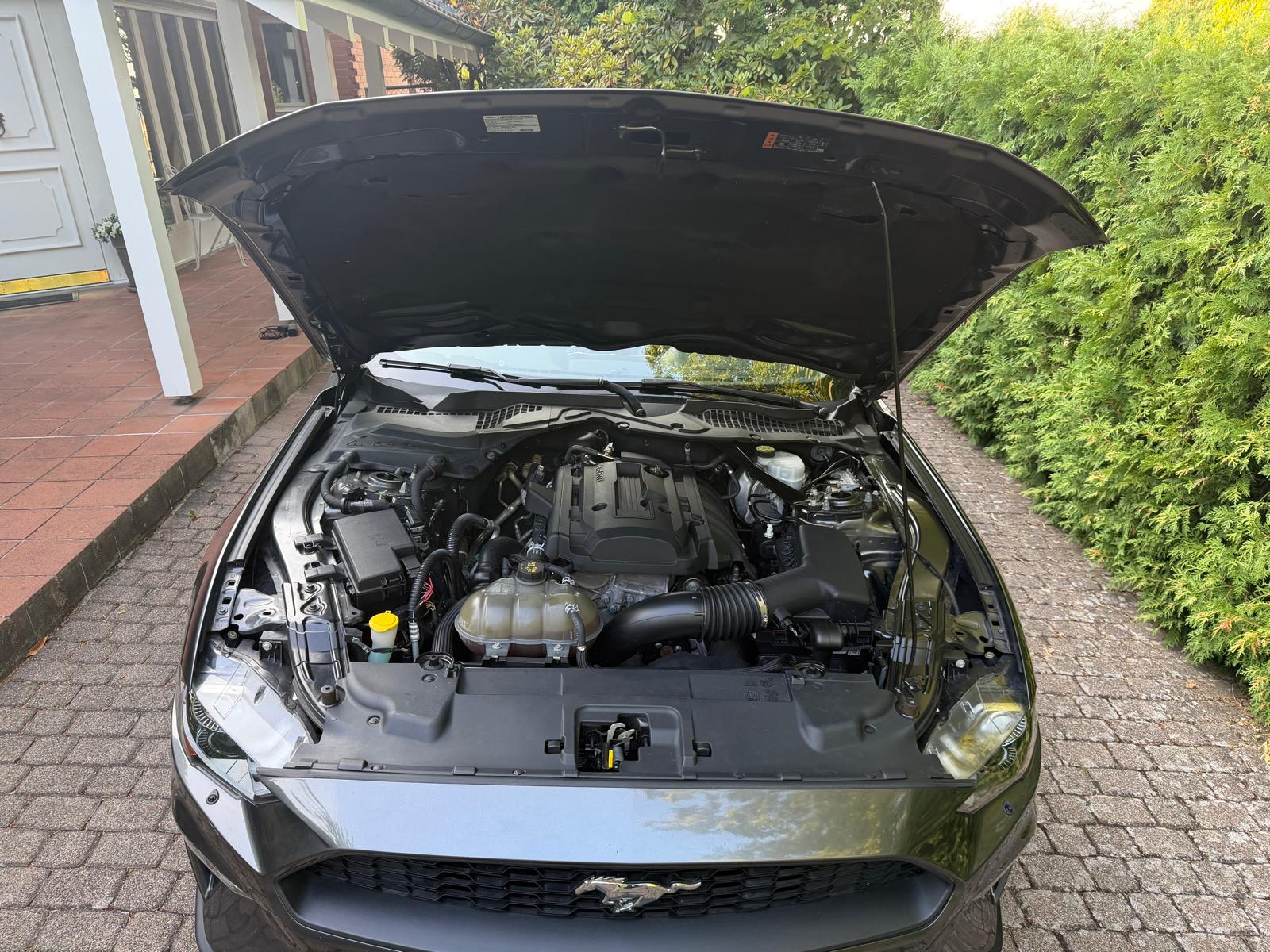 FORD Mustang 2.3l ecoboost-image-3