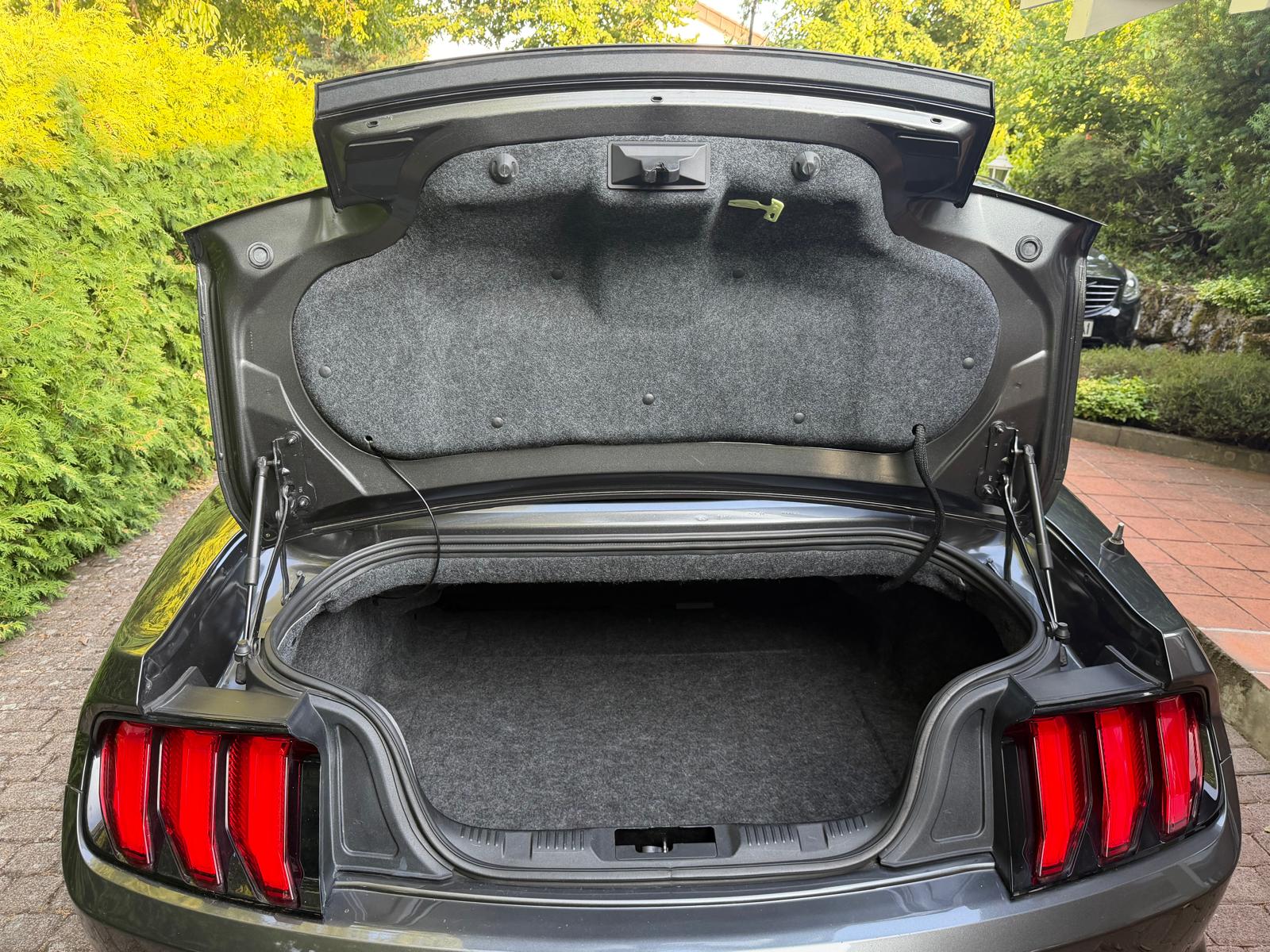 FORD Mustang 2.3l ecoboost-image-4