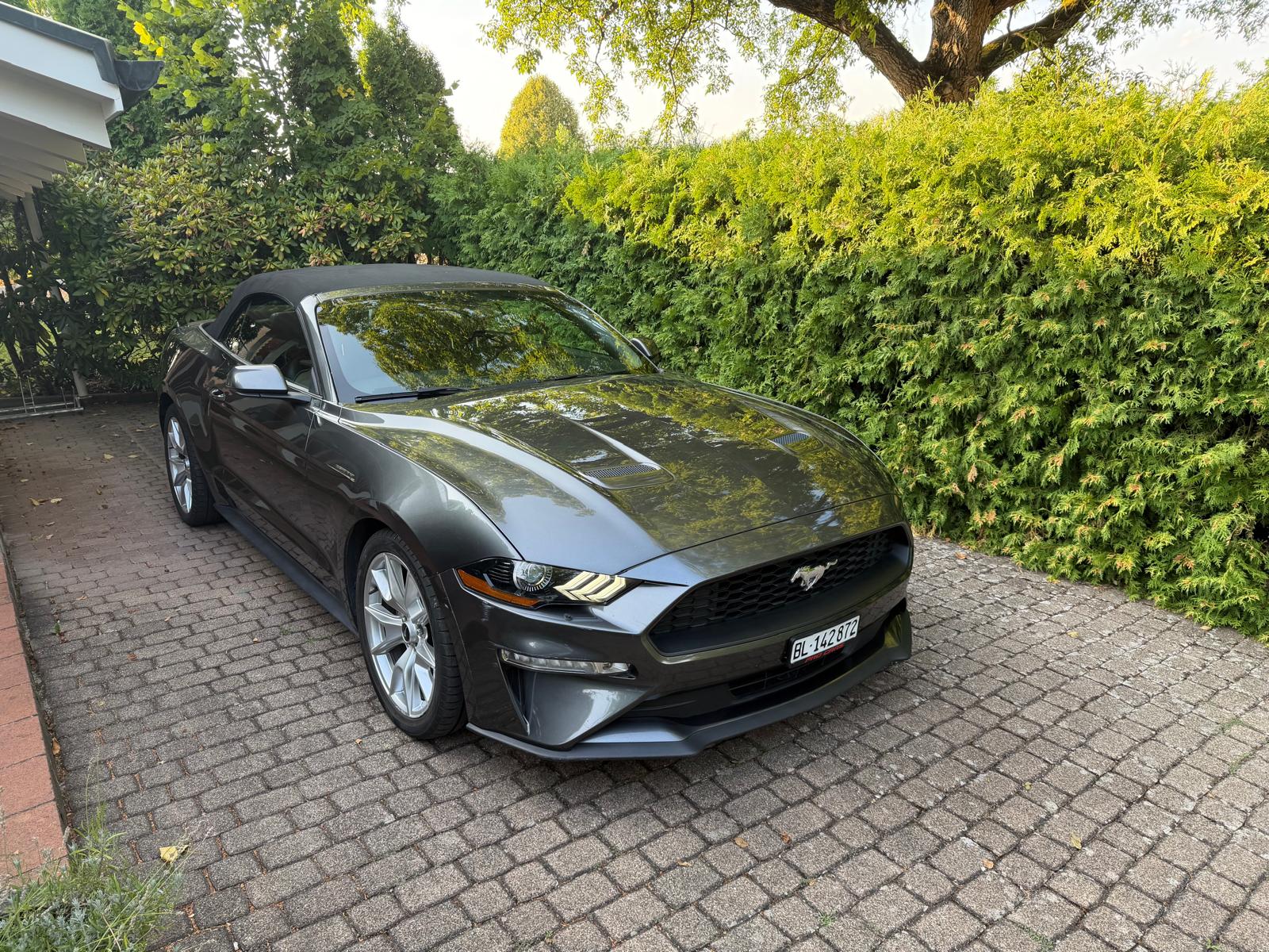 FORD Mustang 2.3l ecoboost-image-0