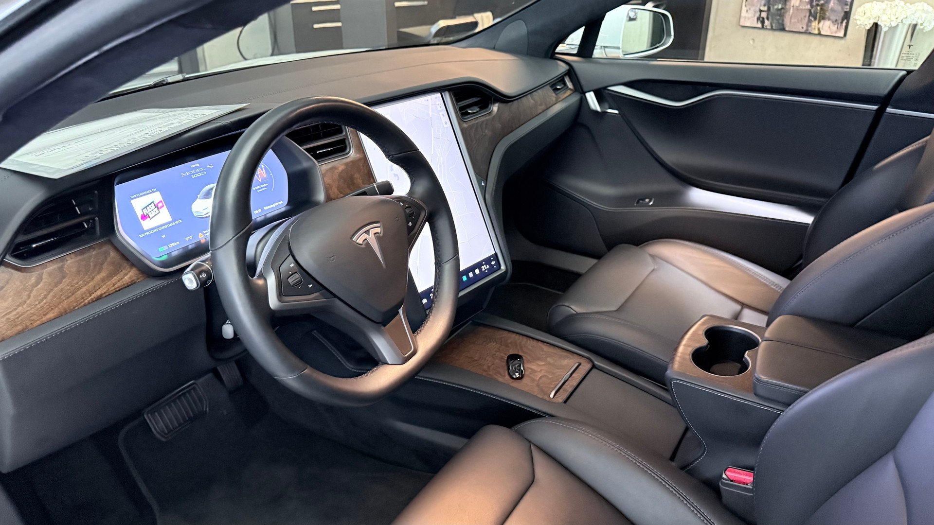 TESLA Model S 100 D-image-13