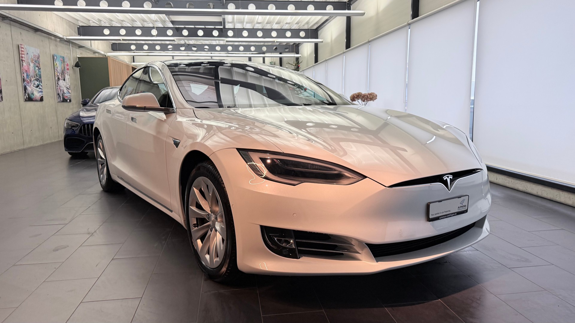 TESLA Model S 100 D-image-22
