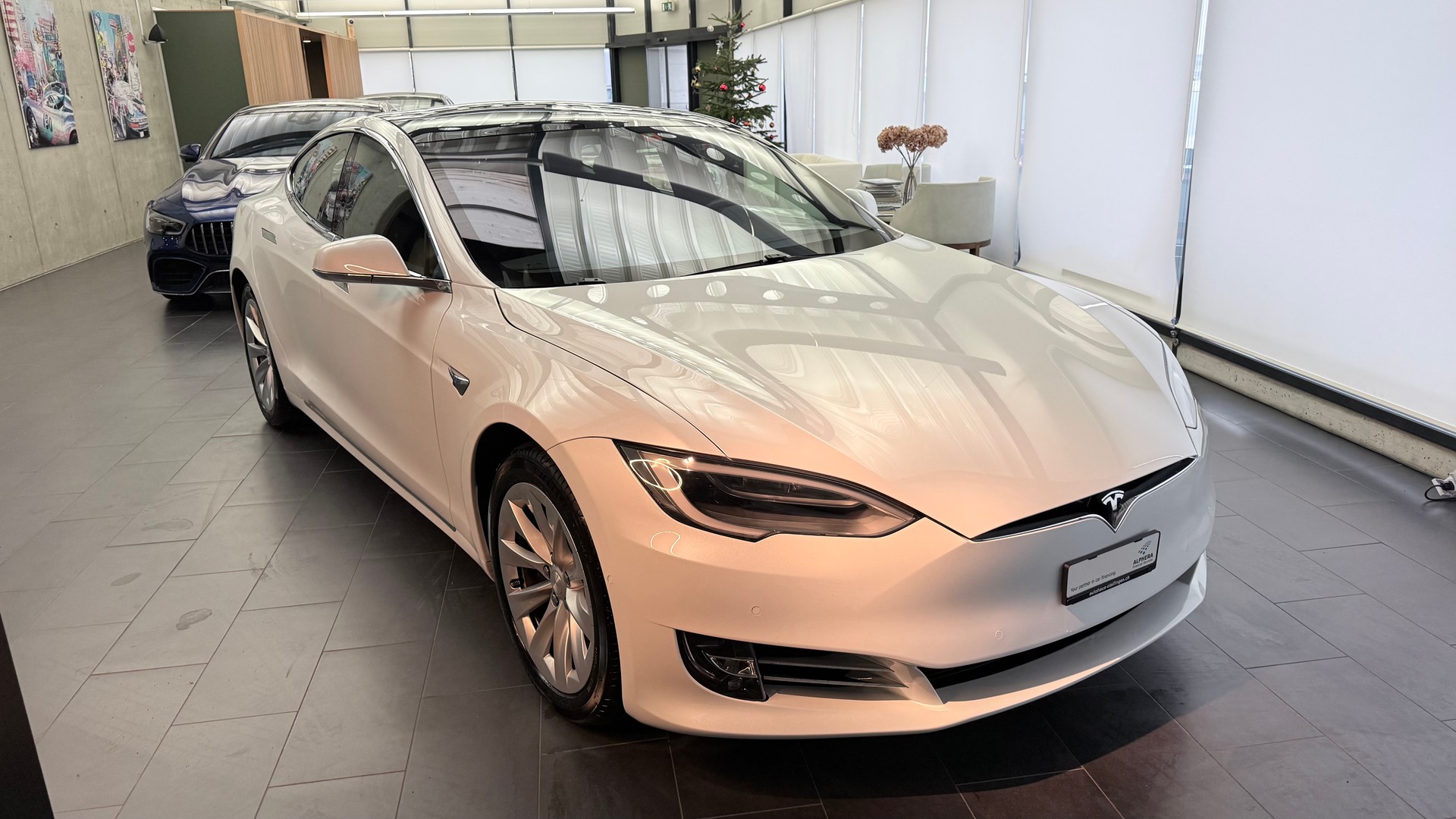 TESLA Model S 100 D-image-23