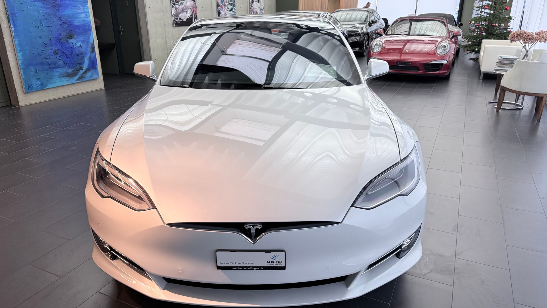 TESLA Model S 100 D-image-19