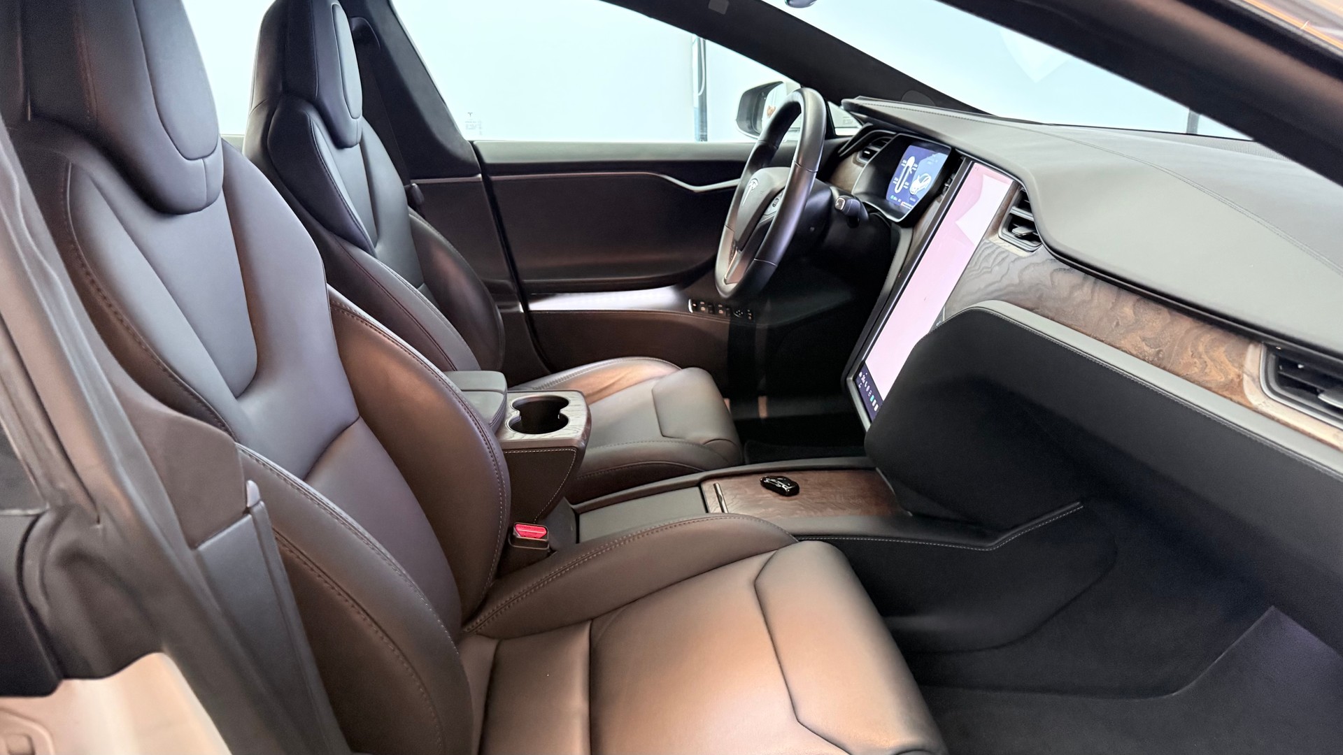 TESLA Model S 100 D-image-3