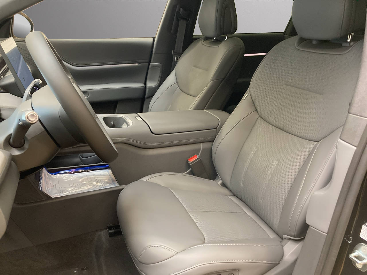 XPENG G6 Performance AWD-image-4