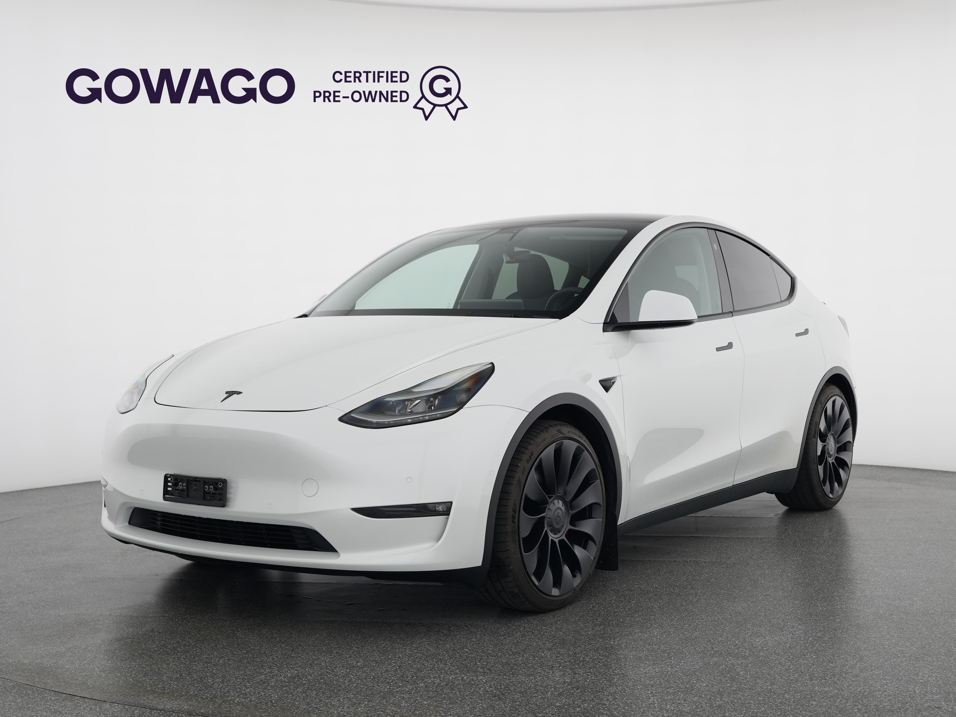 TESLA Model Y Performance-image-0