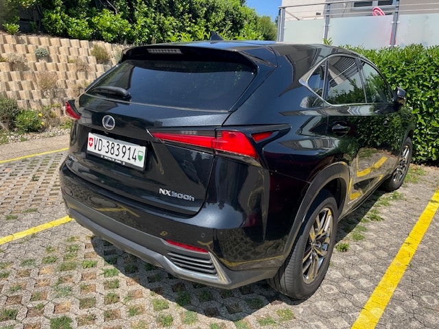 LEXUS 300h Comfort-image-1