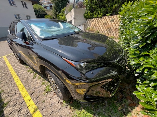 LEXUS 300h Comfort-image-2