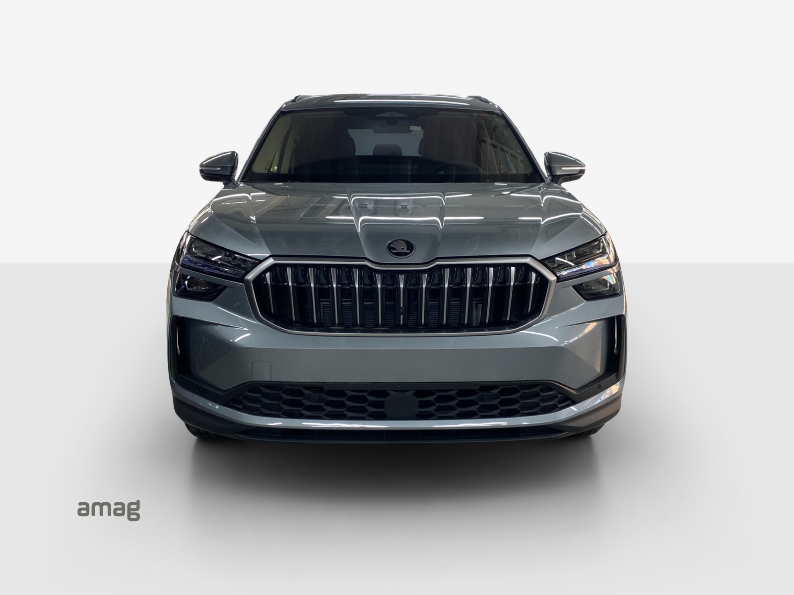 SKODA Kodiaq 2.0 TSI Dynamic 4x4-image-6