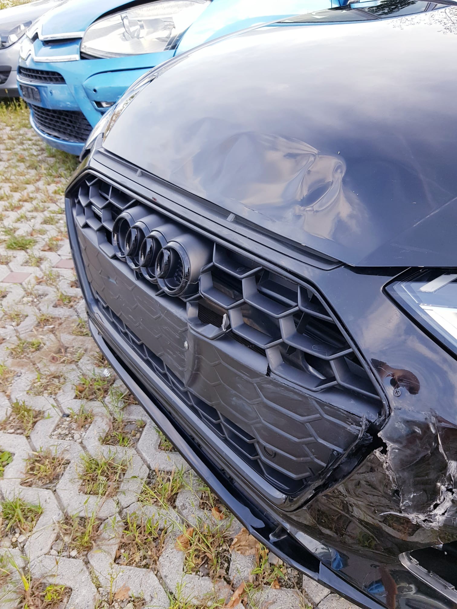 AUDI A4 Avant 40 TDI quattro S-tronic-image-15