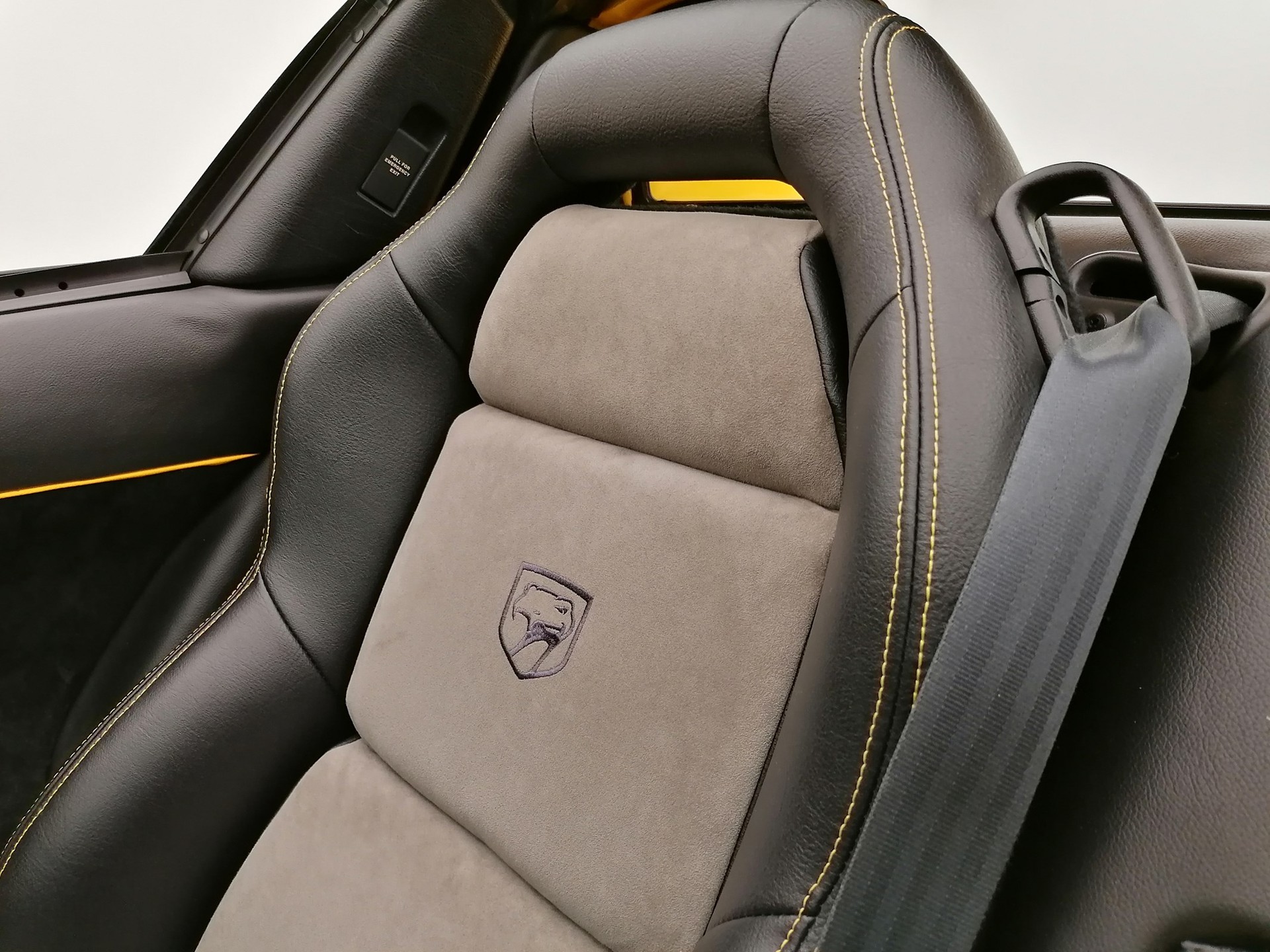 DODGE Viper RT/10 Targa-image-12