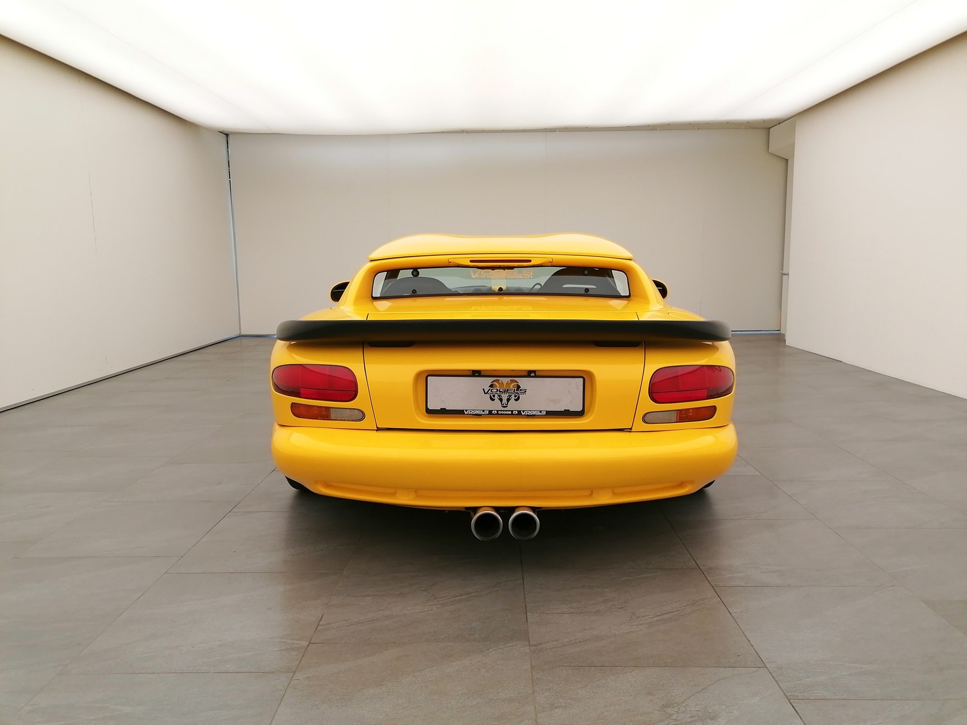DODGE Viper RT/10 Targa-image-4