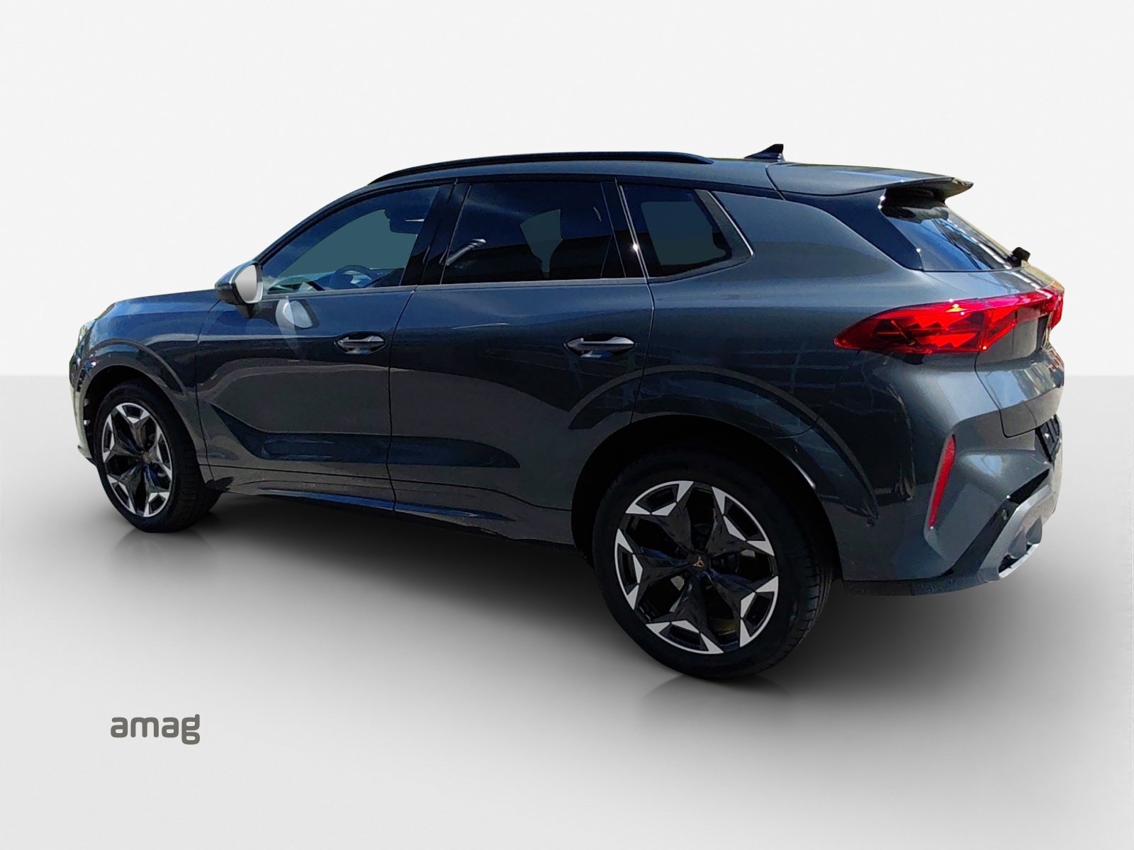 CUPRA Terramar 2.0 TSI DSG Prime Edition VZ 4Drive-image-2