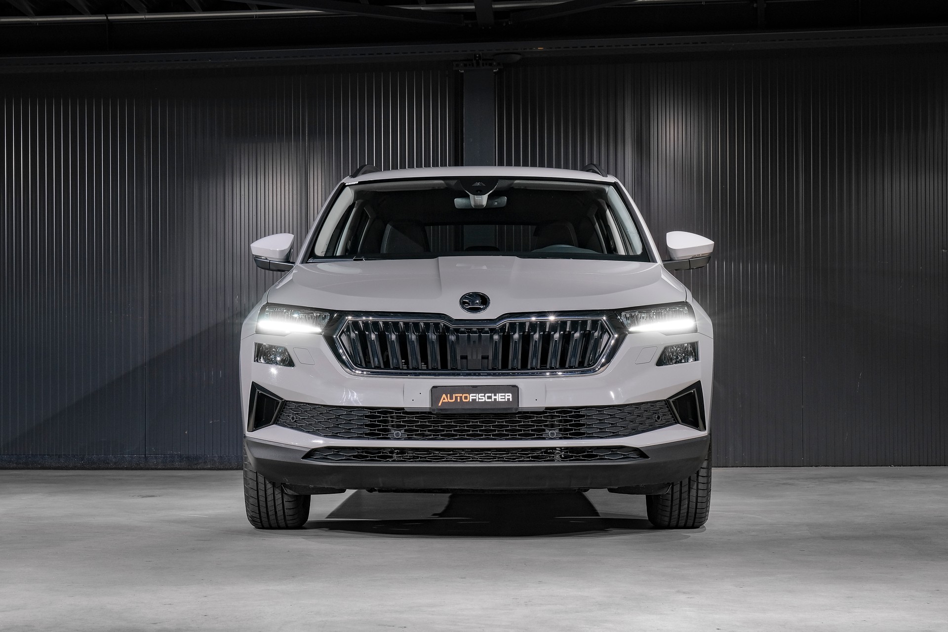 SKODA Karoq 2.0 TDI Fresh 4x4 DSG-showroom-element-2