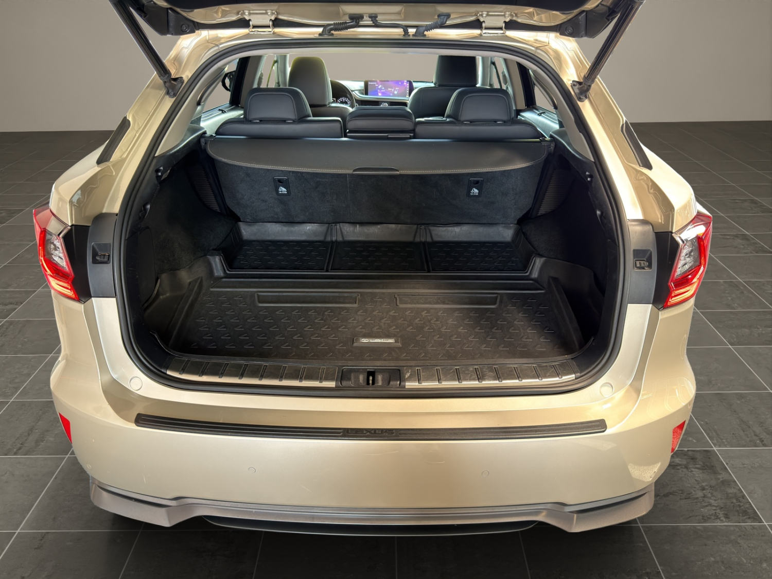 LEXUS RX 450h Excellence-image-21