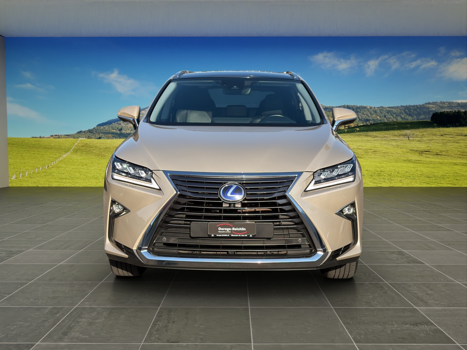 LEXUS RX 450h Excellence-image-7