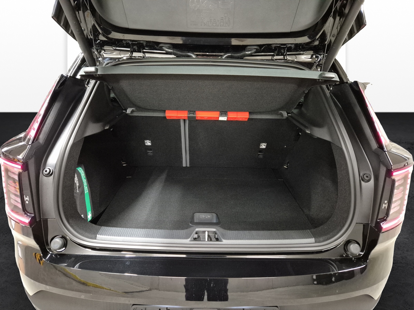VOLVO EX30 E60 Plus Swiss Black Edition-image-18