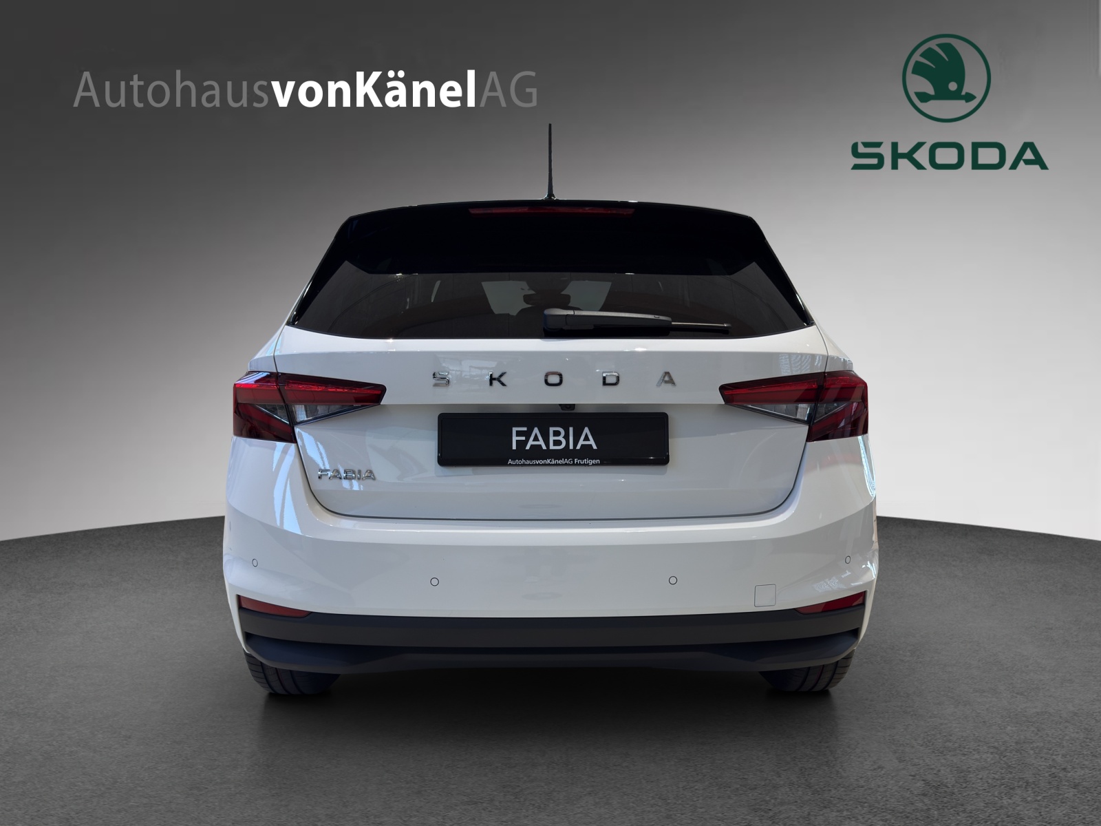 SKODA Fabia 1.0 TSI Dynamic DSG-image-4