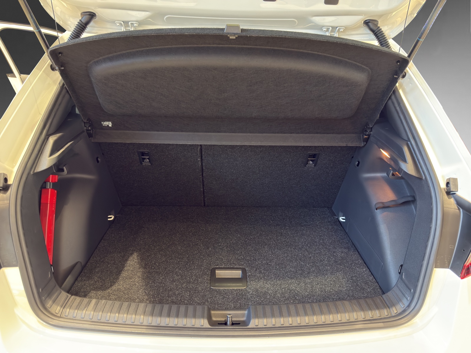 SKODA Fabia 1.0 TSI Dynamic DSG-image-9