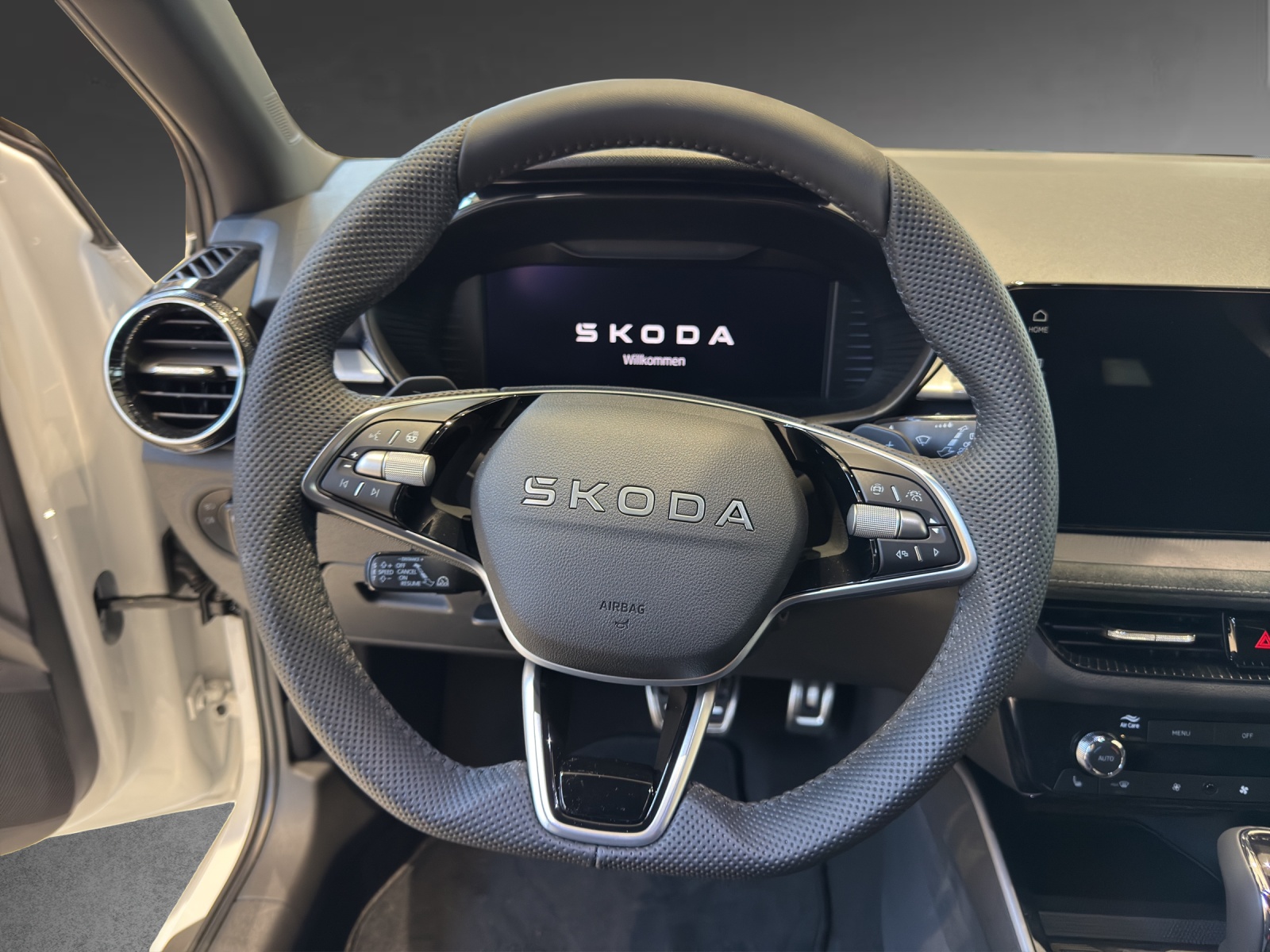 SKODA Fabia 1.0 TSI Dynamic DSG-image-8