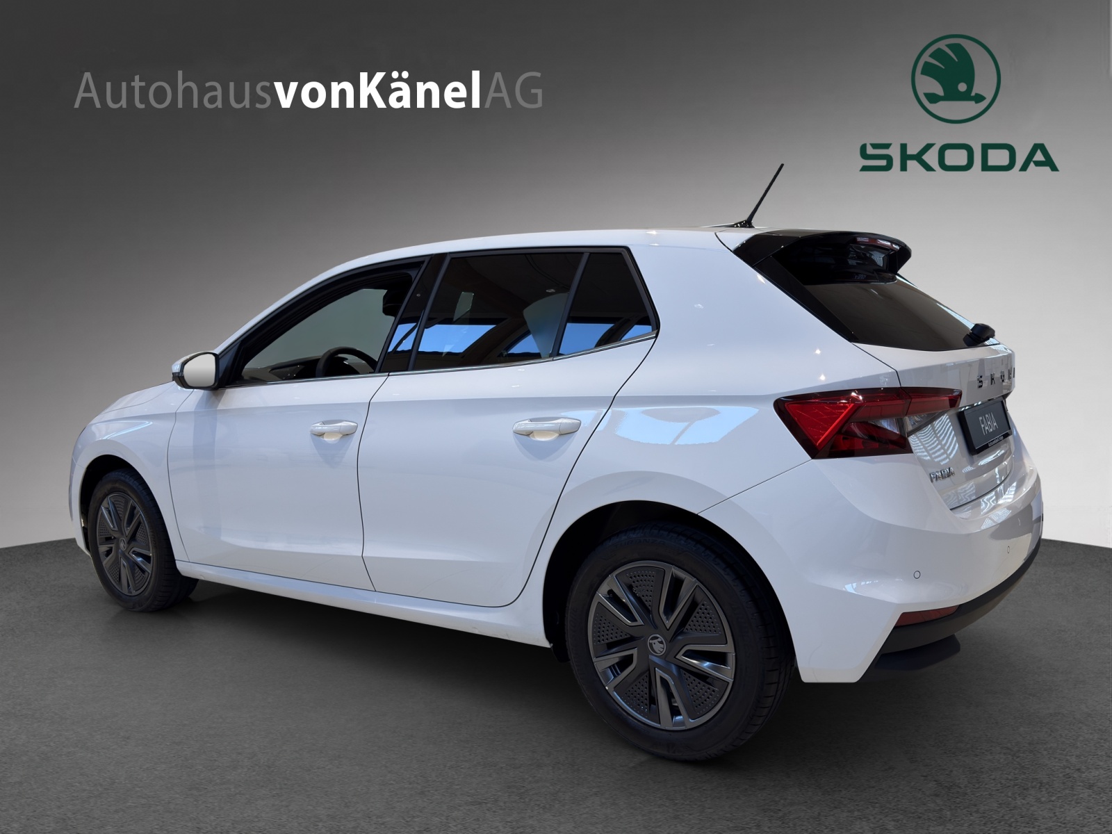 SKODA Fabia 1.0 TSI Dynamic DSG-image-2