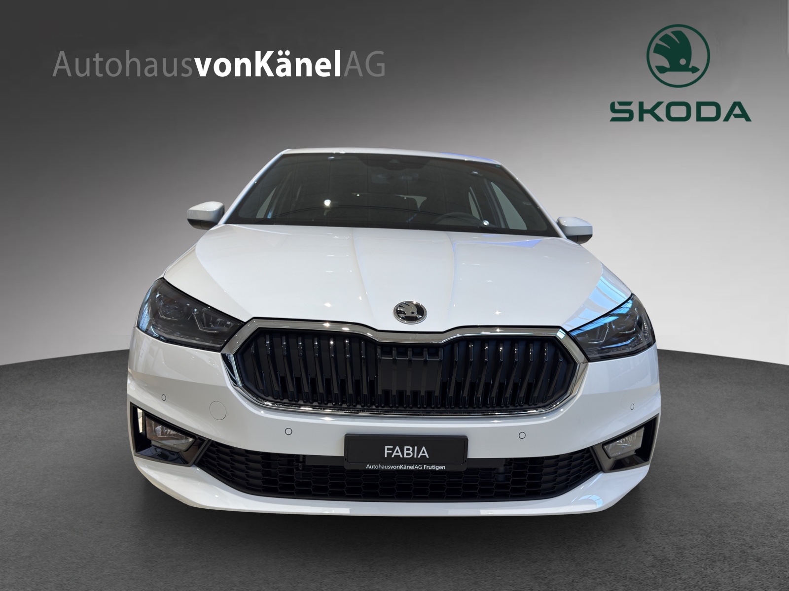 SKODA Fabia 1.0 TSI Dynamic DSG-image-3