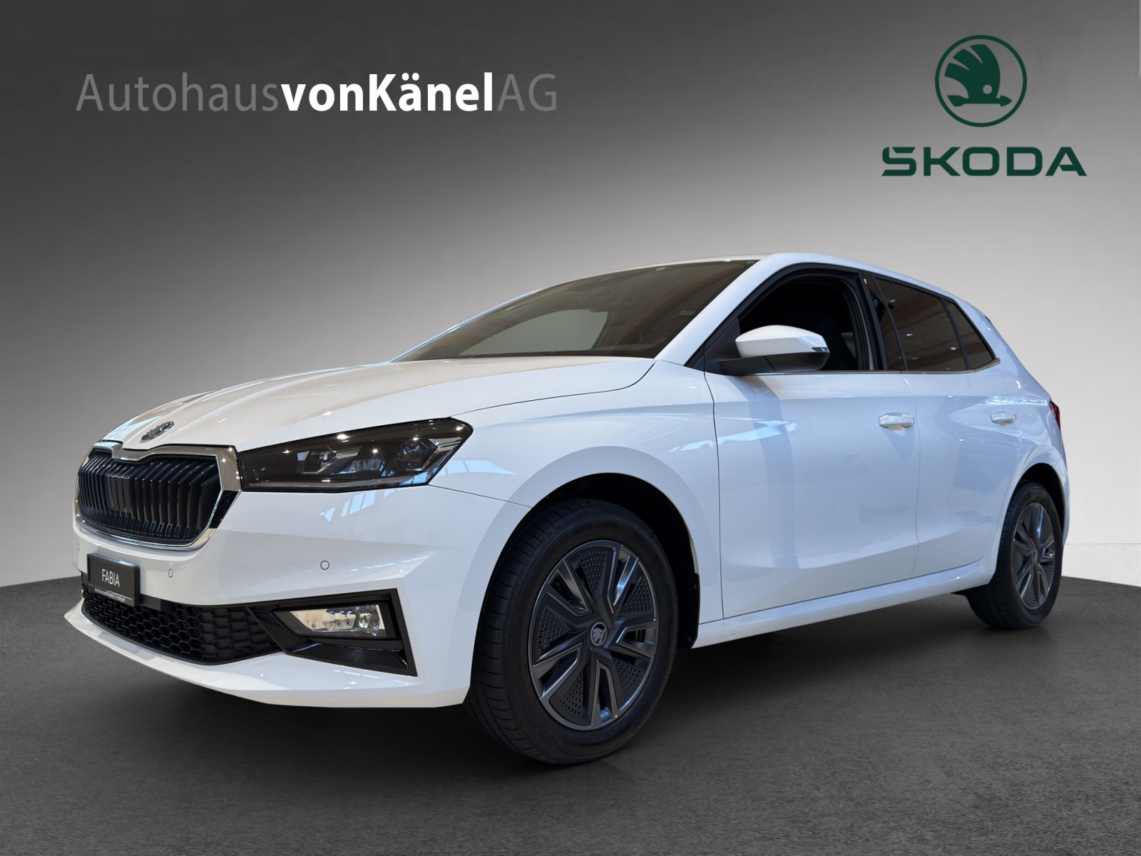 SKODA Fabia 1.0 TSI Dynamic DSG-image-0