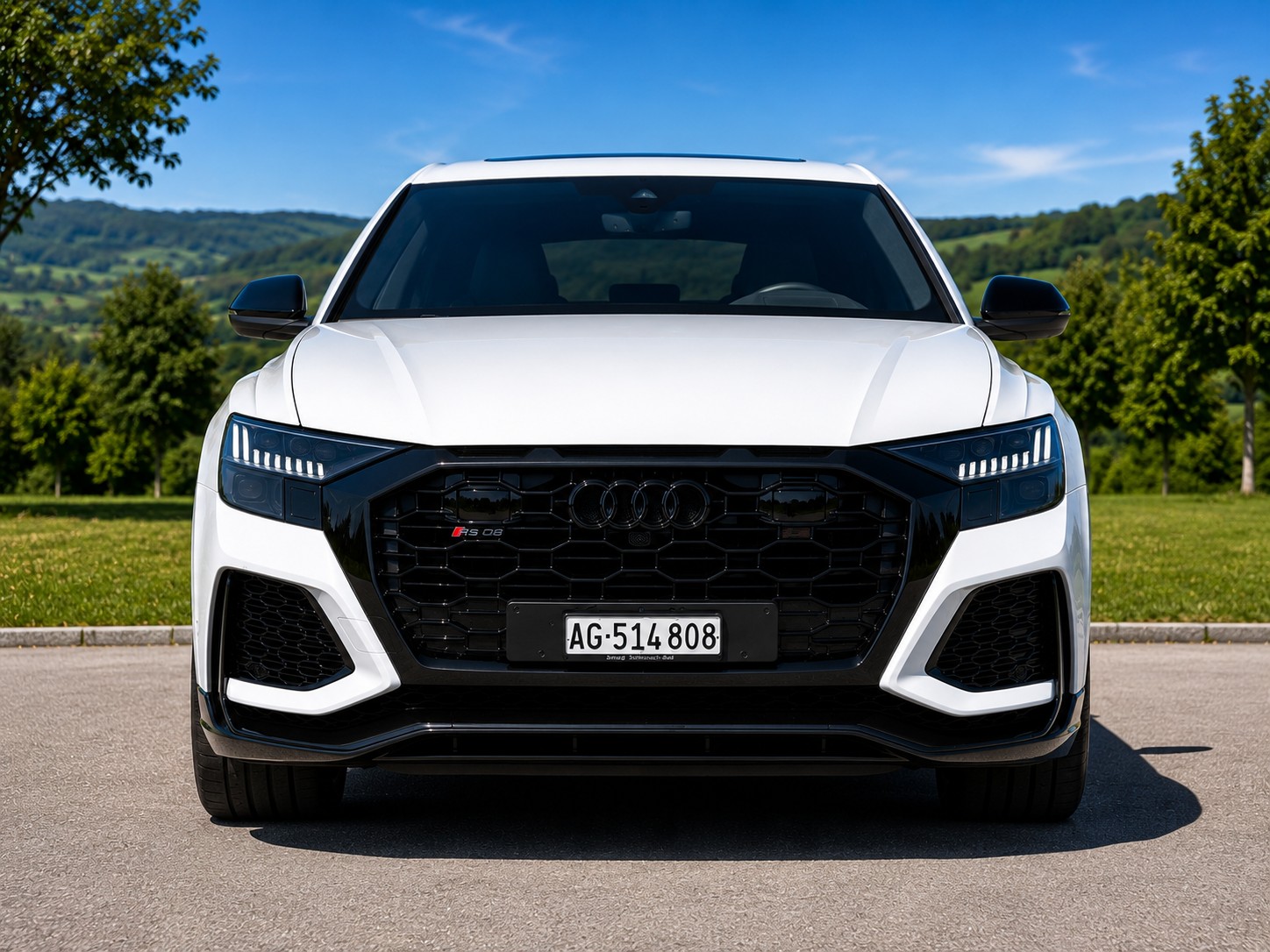AUDI AUDI RSQ8 quattro tiptronic Dynamic Plus 305km/h-image-3