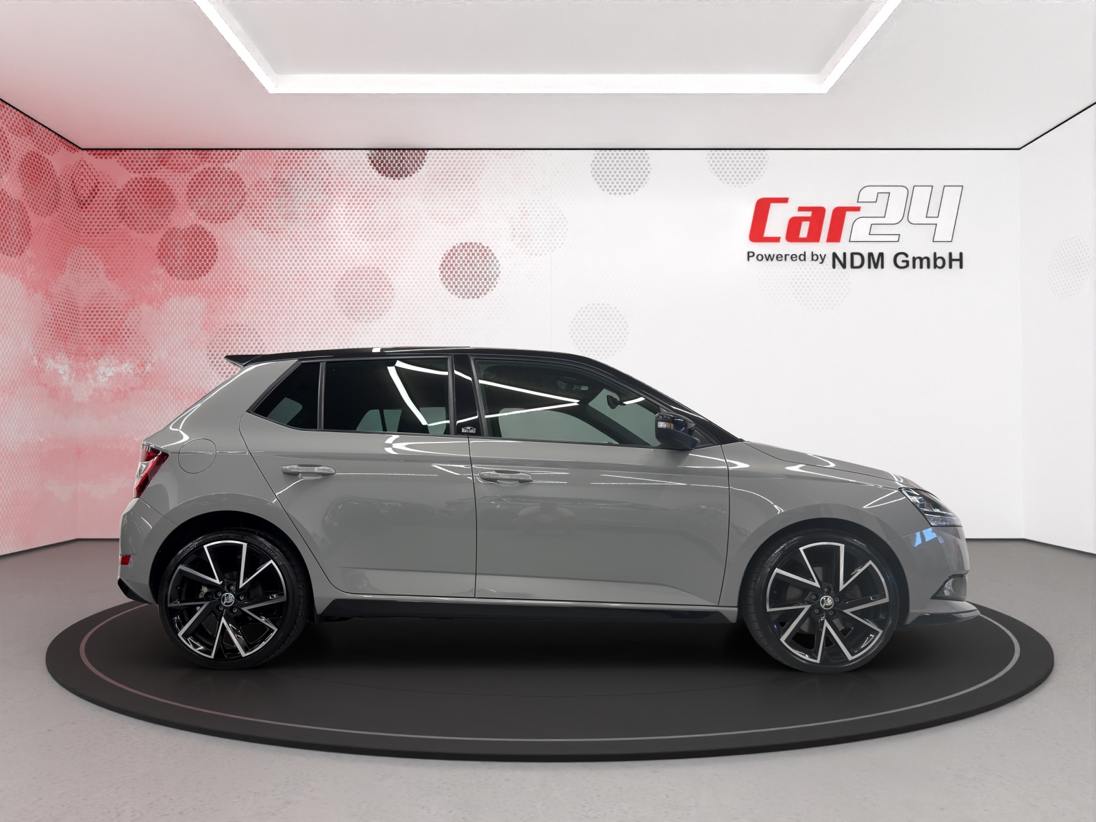 SKODA Fabia 1.0 TSI Monte Carlo DSG-image-3
