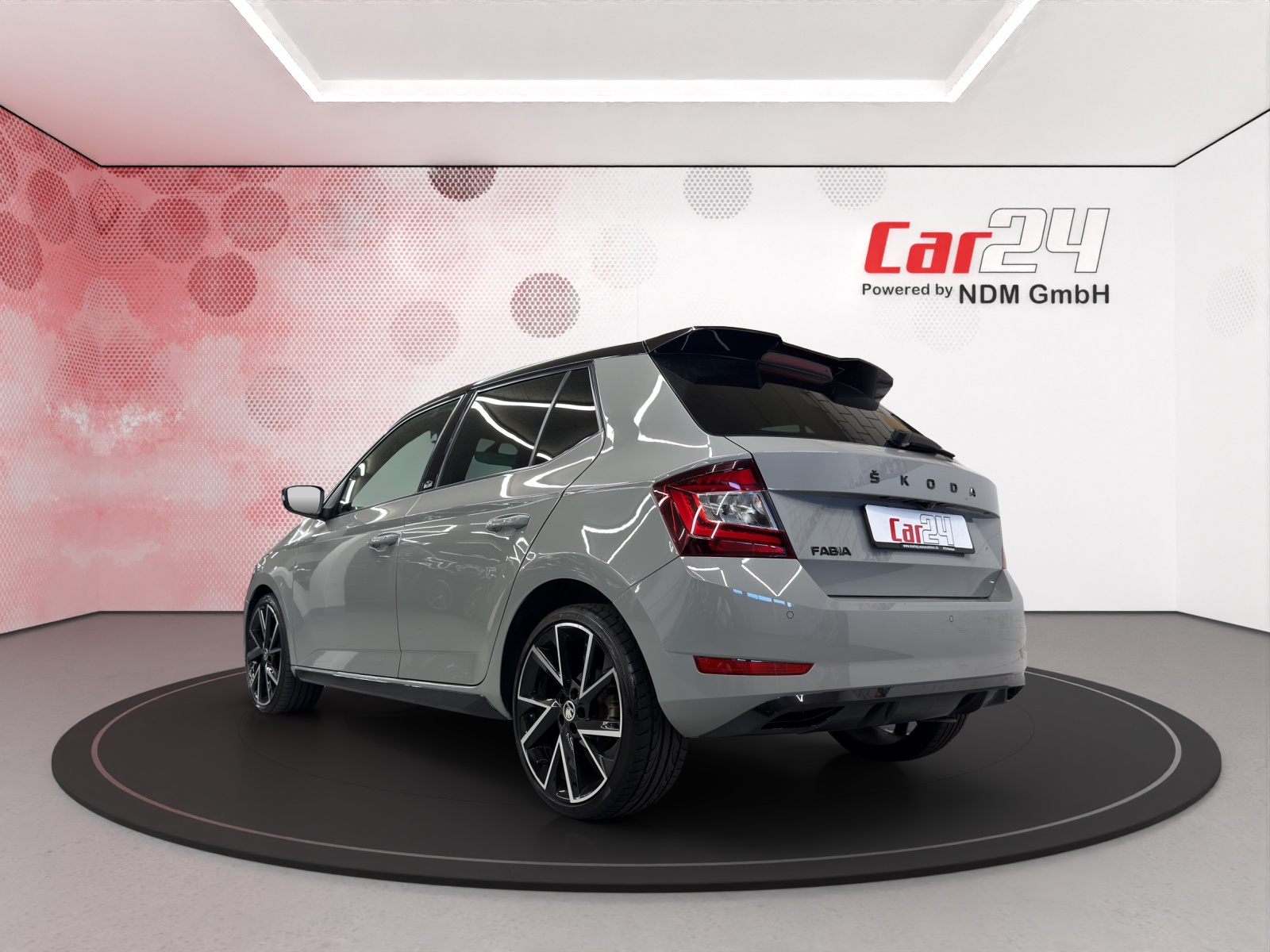 SKODA Fabia 1.0 TSI Monte Carlo DSG-image-6