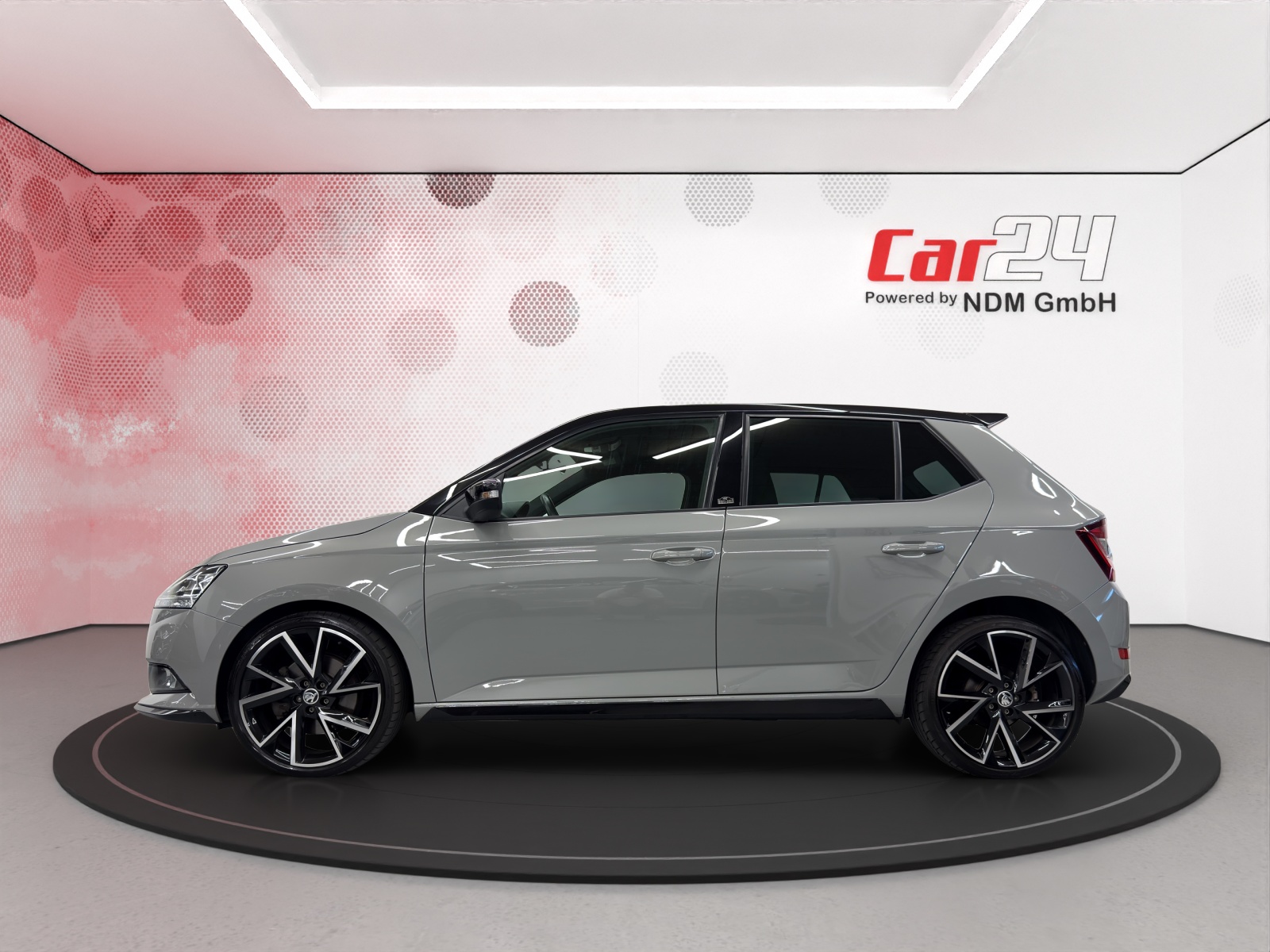 SKODA Fabia 1.0 TSI Monte Carlo DSG-image-7