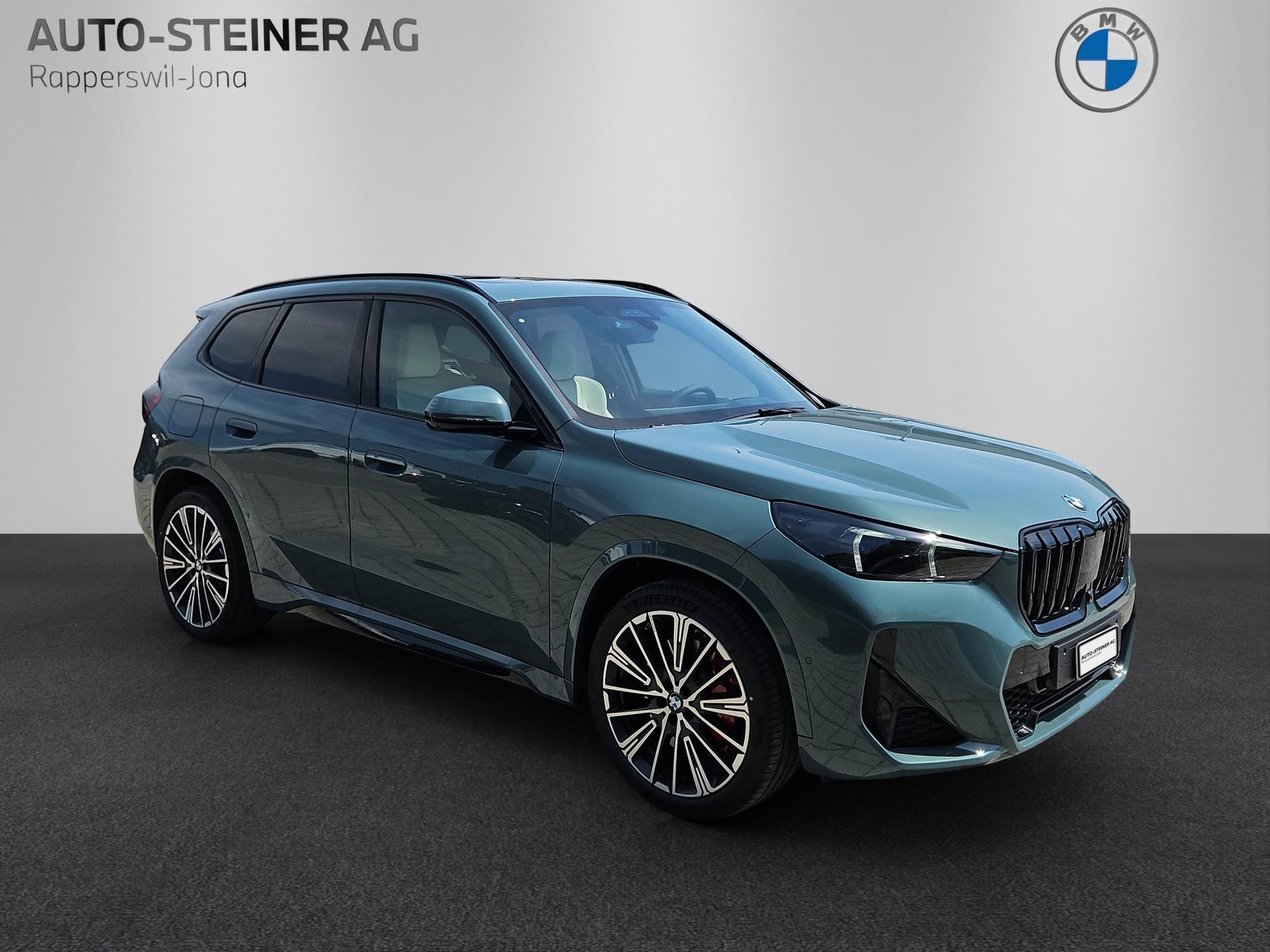 BMW X1 23d xDrive M Sport Pro-image-6