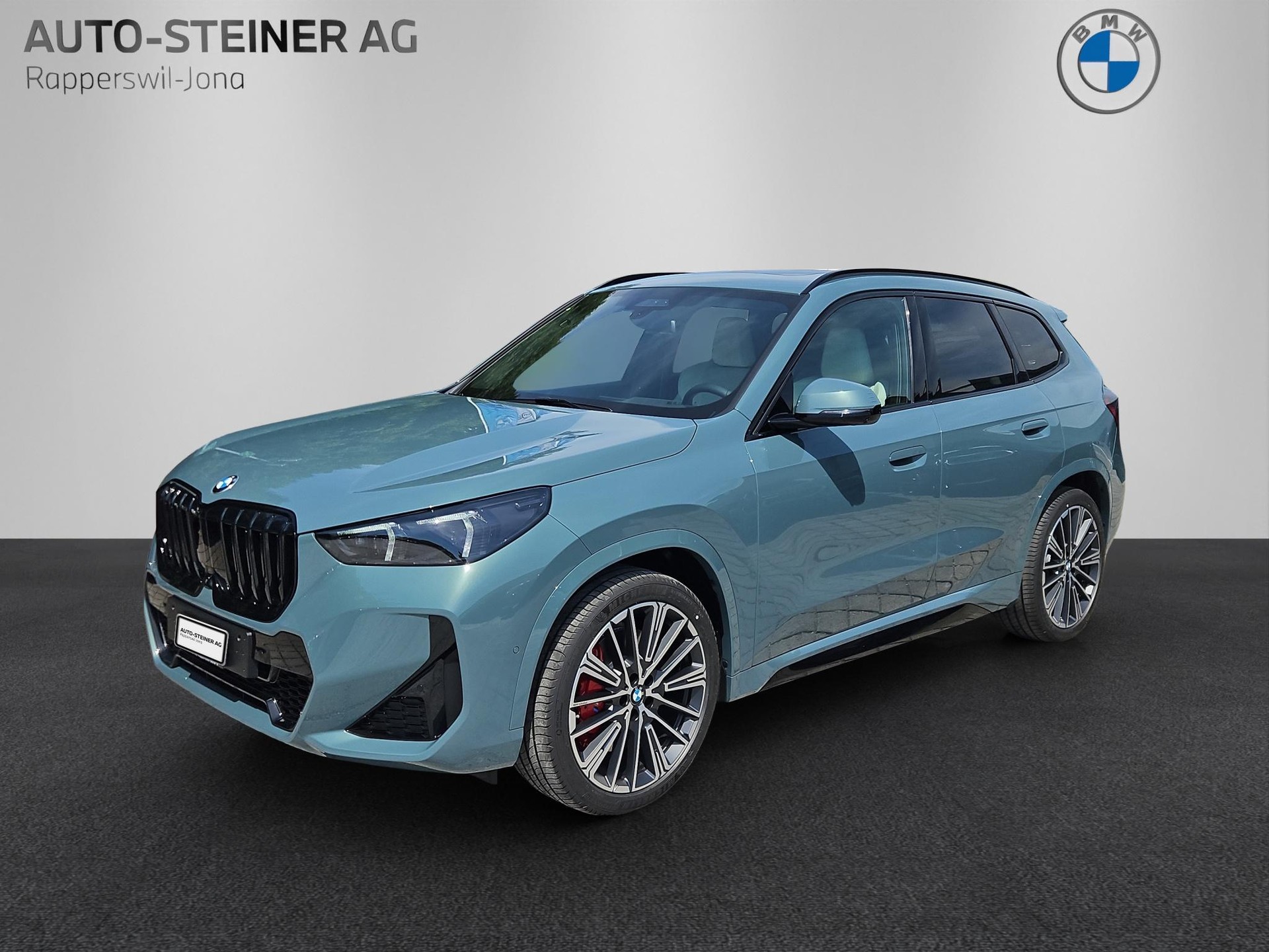 BMW X1 23d xDrive M Sport Pro-image-0