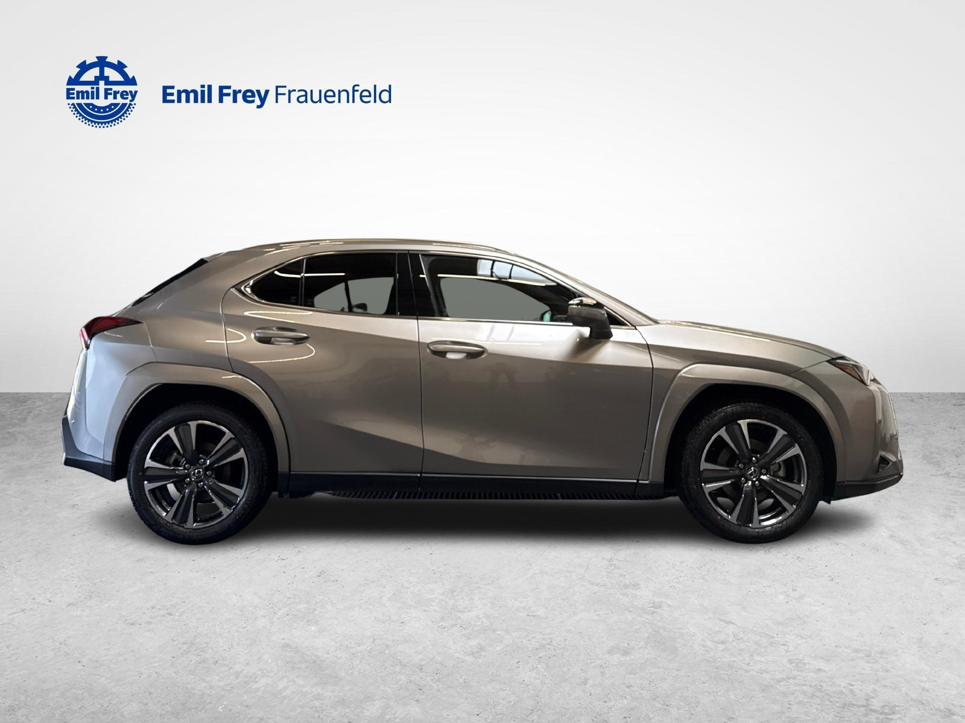 LEXUS UX 300h Excellence-image-5