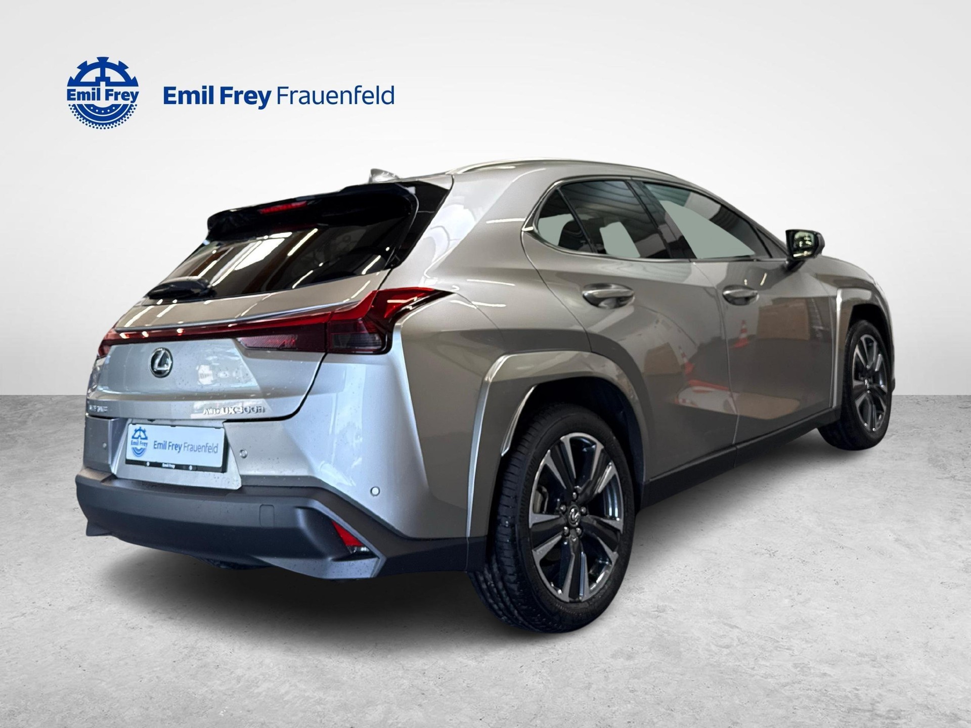 LEXUS UX 300h Excellence-image-4