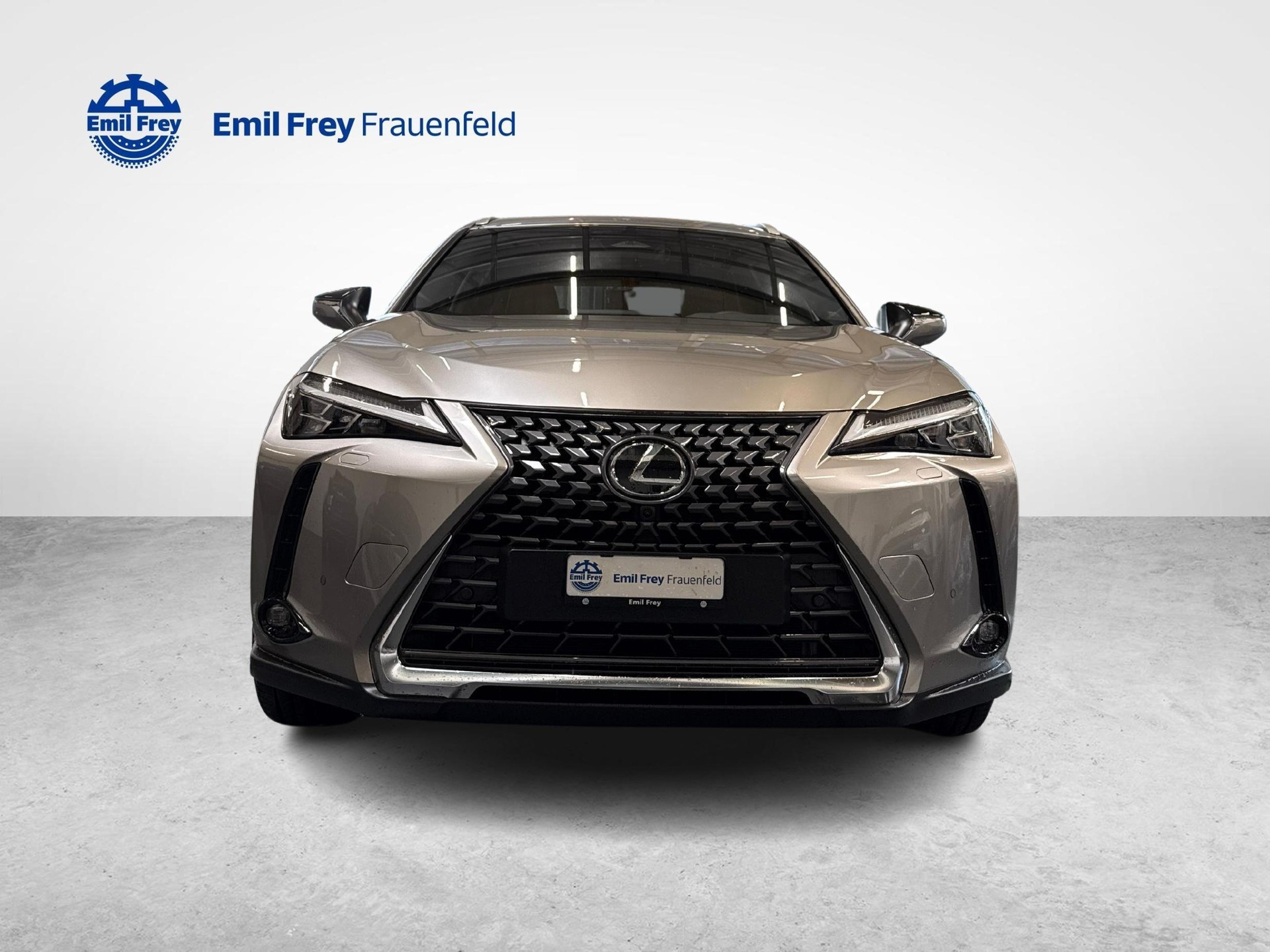 LEXUS UX 300h Excellence-image-7