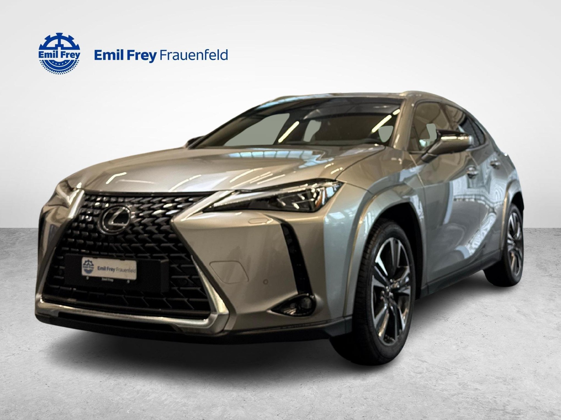LEXUS UX 300h Excellence-image-0
